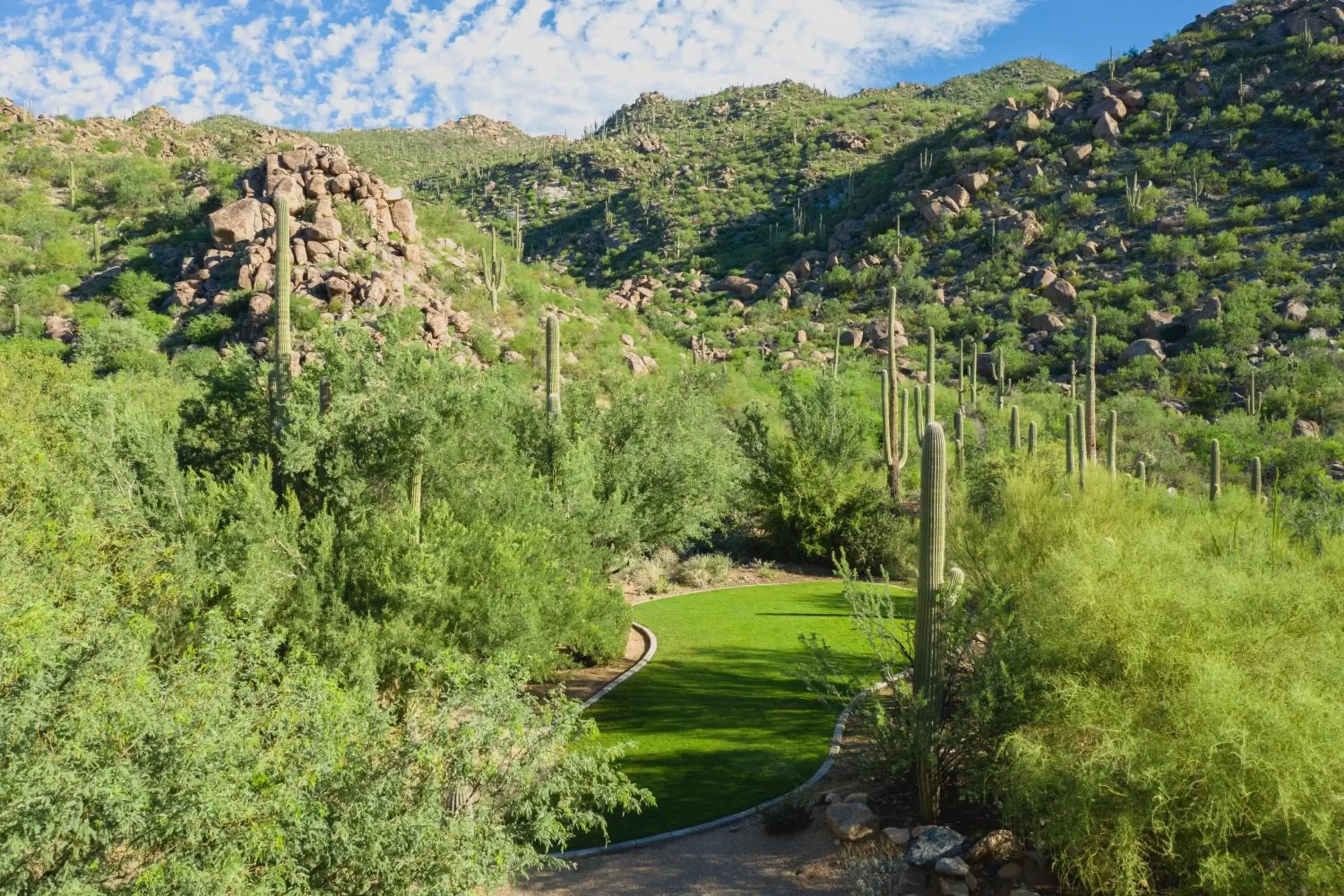 Area and facilities in The Ritz-Carlton, Dove Mountain