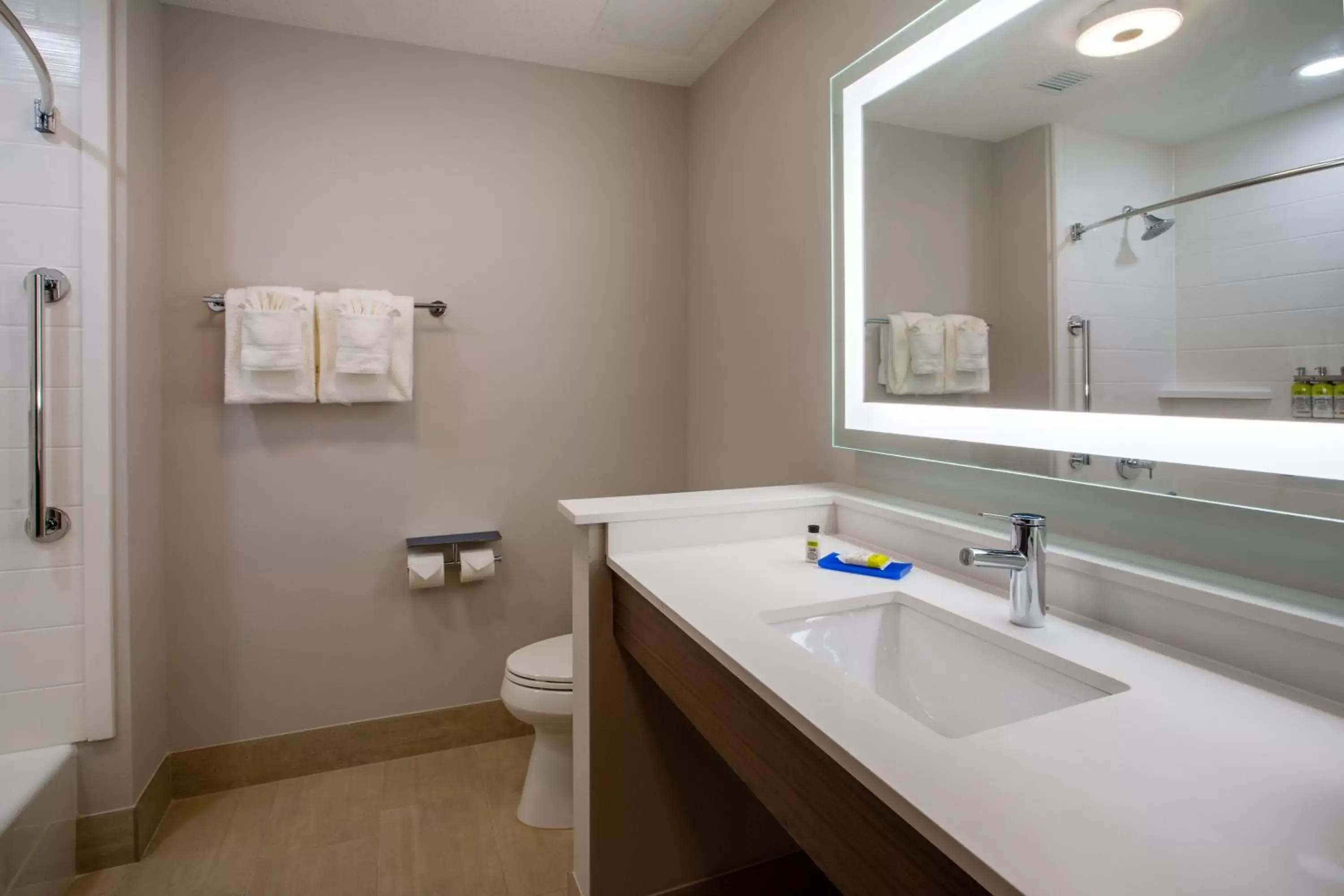 Bathroom in Holiday Inn Express & Suites - Deland South, an IHG Hotel