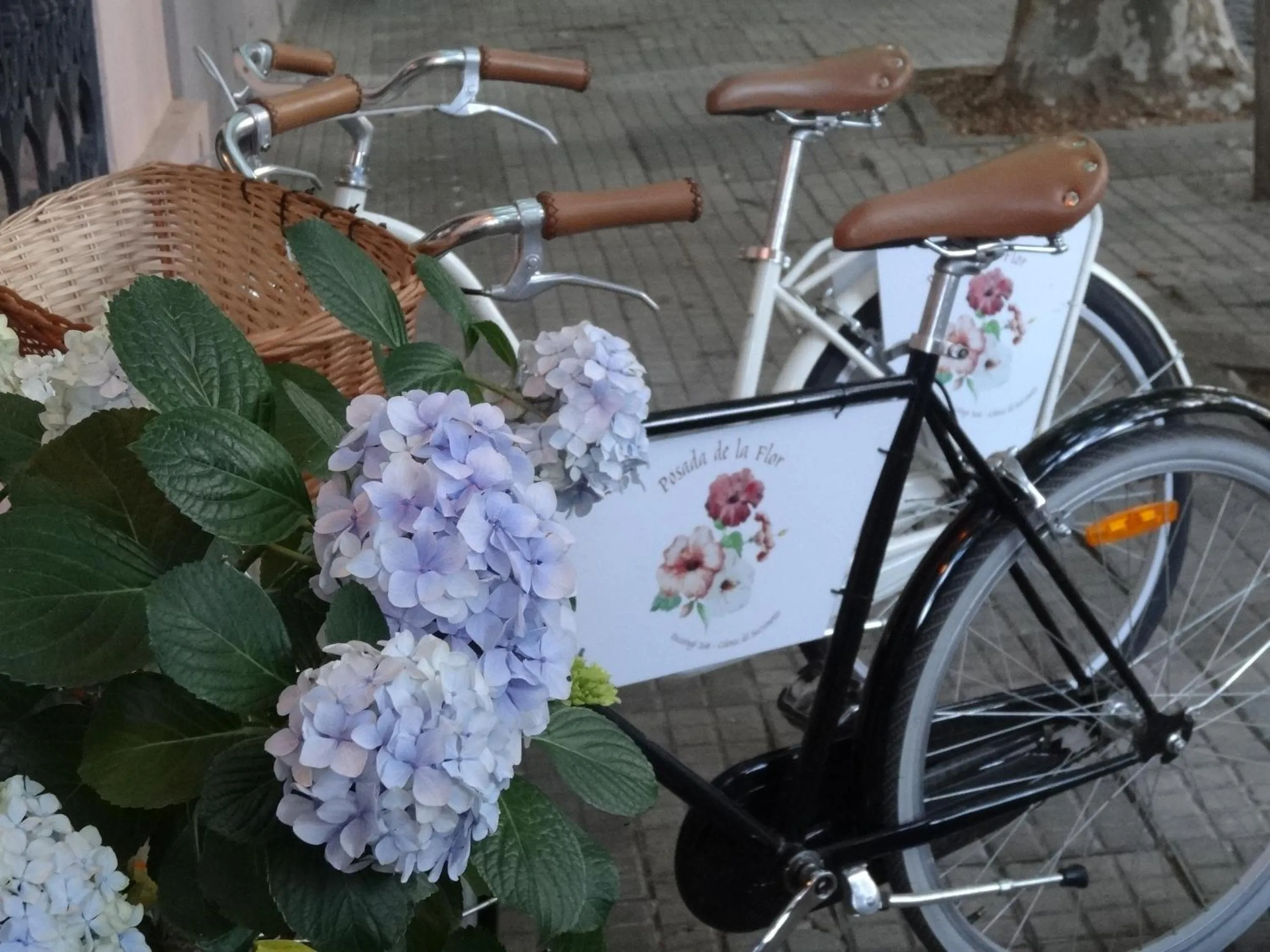 Cycling in Posada de la Flor