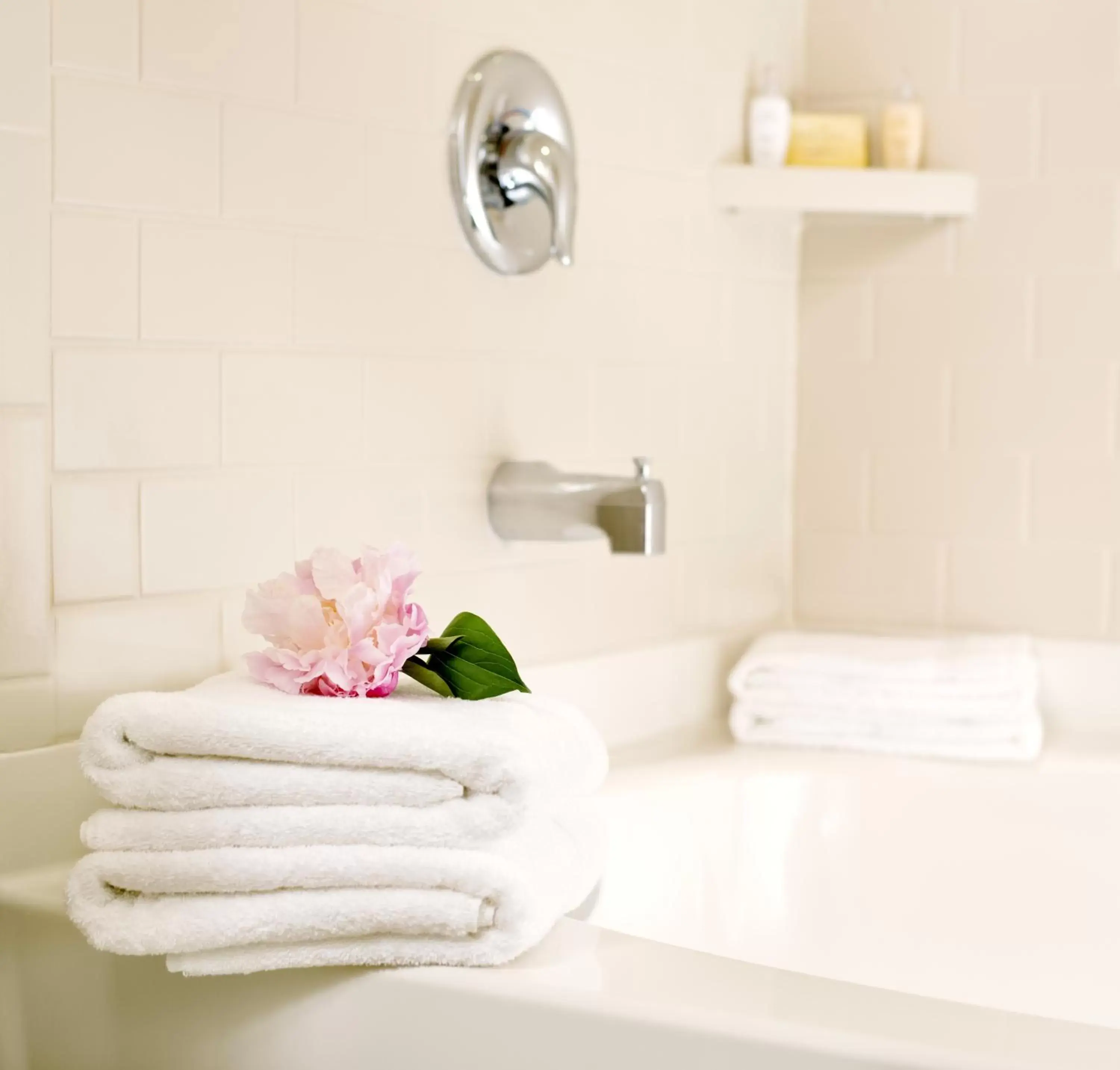 Shower, Bathroom in ALO Hotel by Ayres