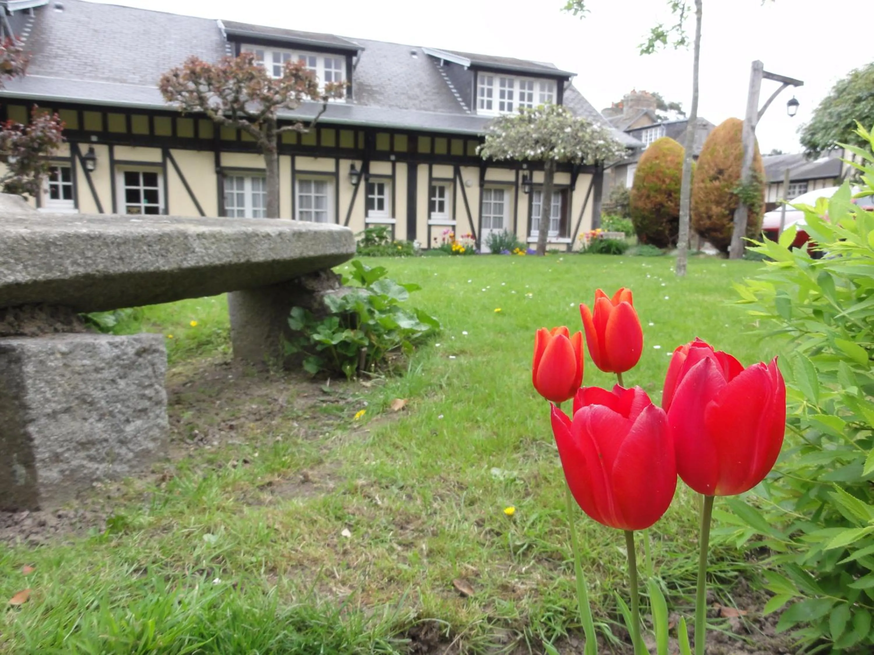 Garden in Hôtel de La Croix d'Or