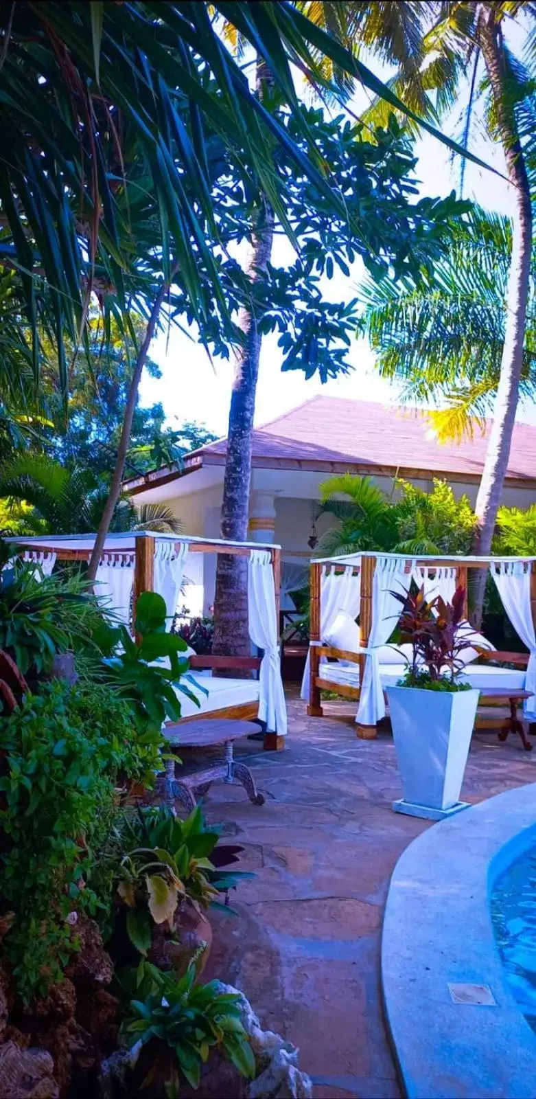 Restaurant/Places to Eat in African House Resort