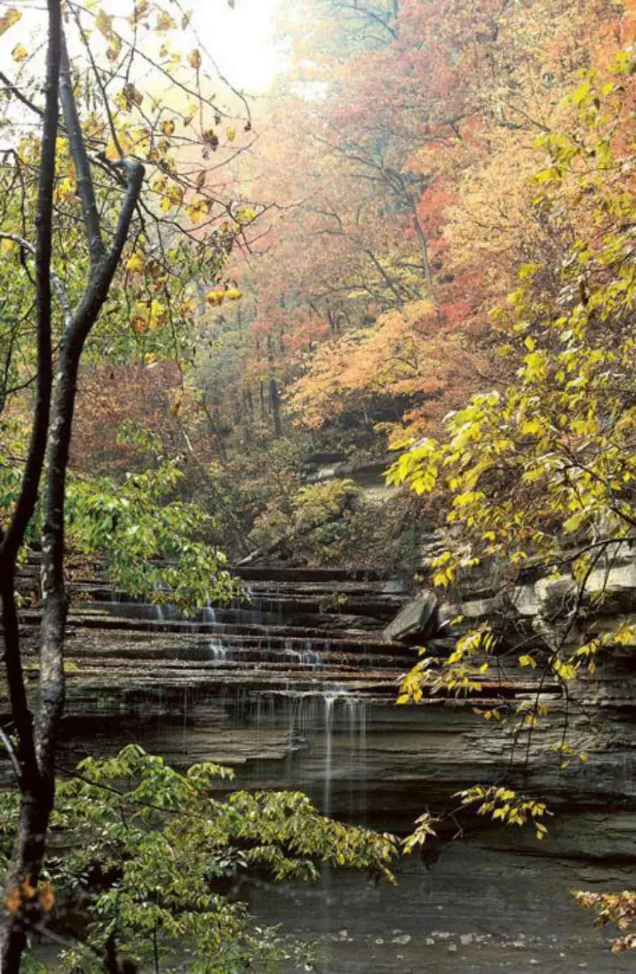 Hiking, Natural Landscape in Clifty Inn