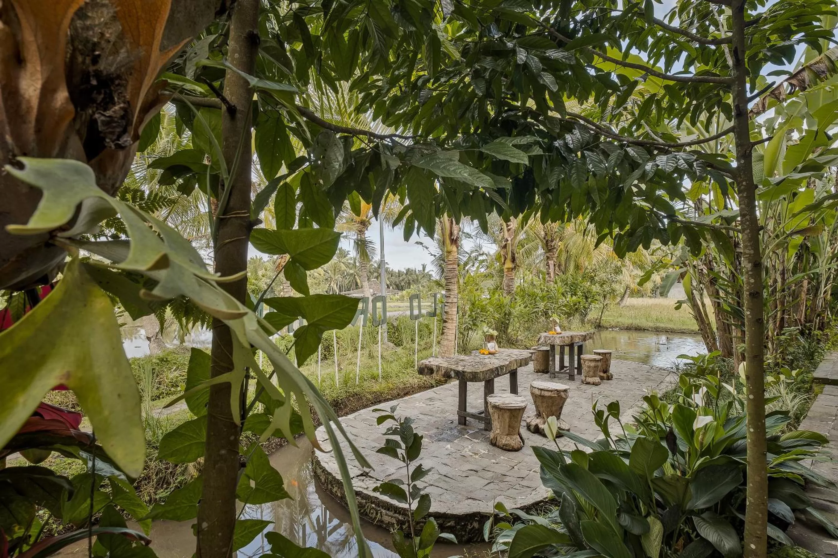 Restaurant/places to eat in Joglo Organik Guesthouse