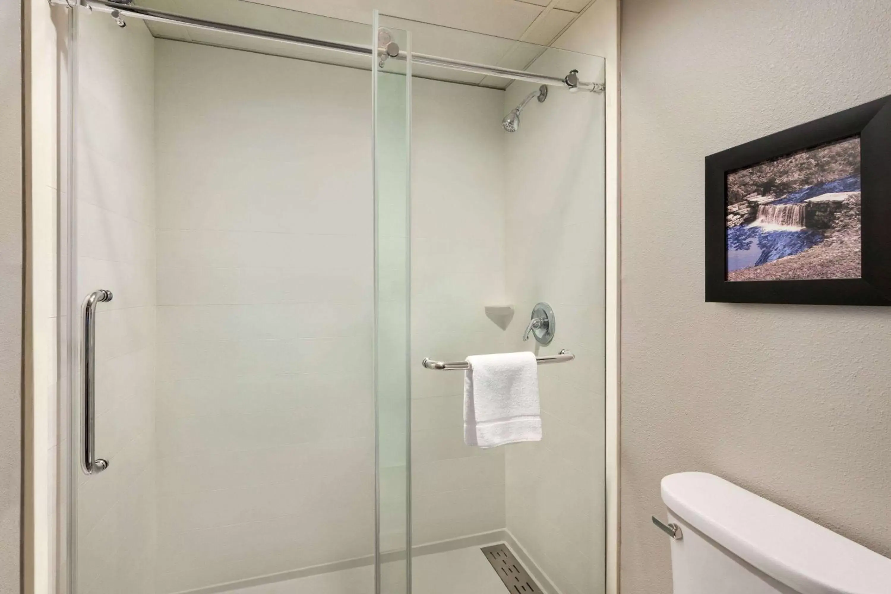 Toilet, Bathroom in AmericInn by Wyndham Branson & Conference Center