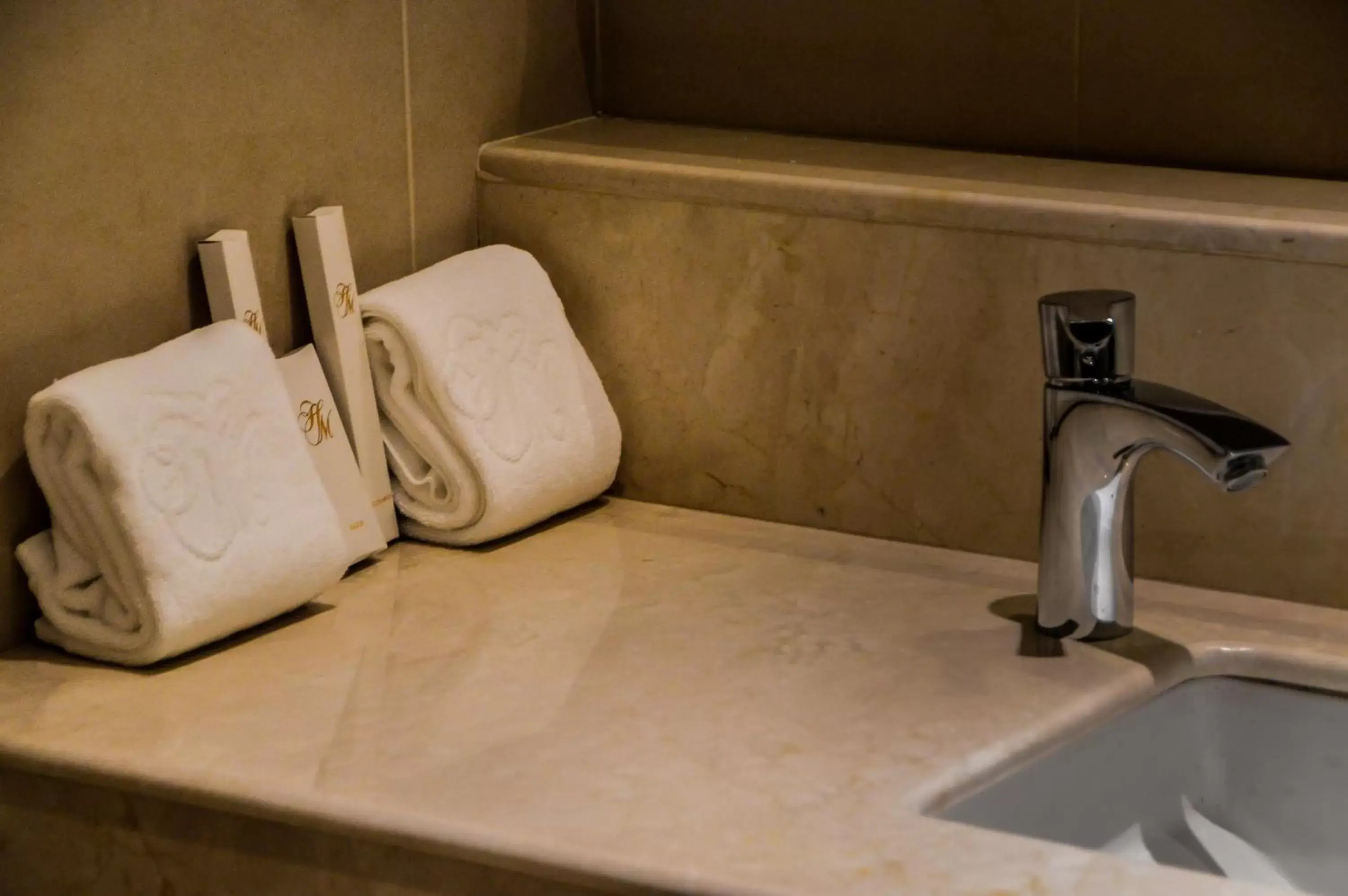 Bathroom, Coffee/Tea Facilities in Hotel Monticello