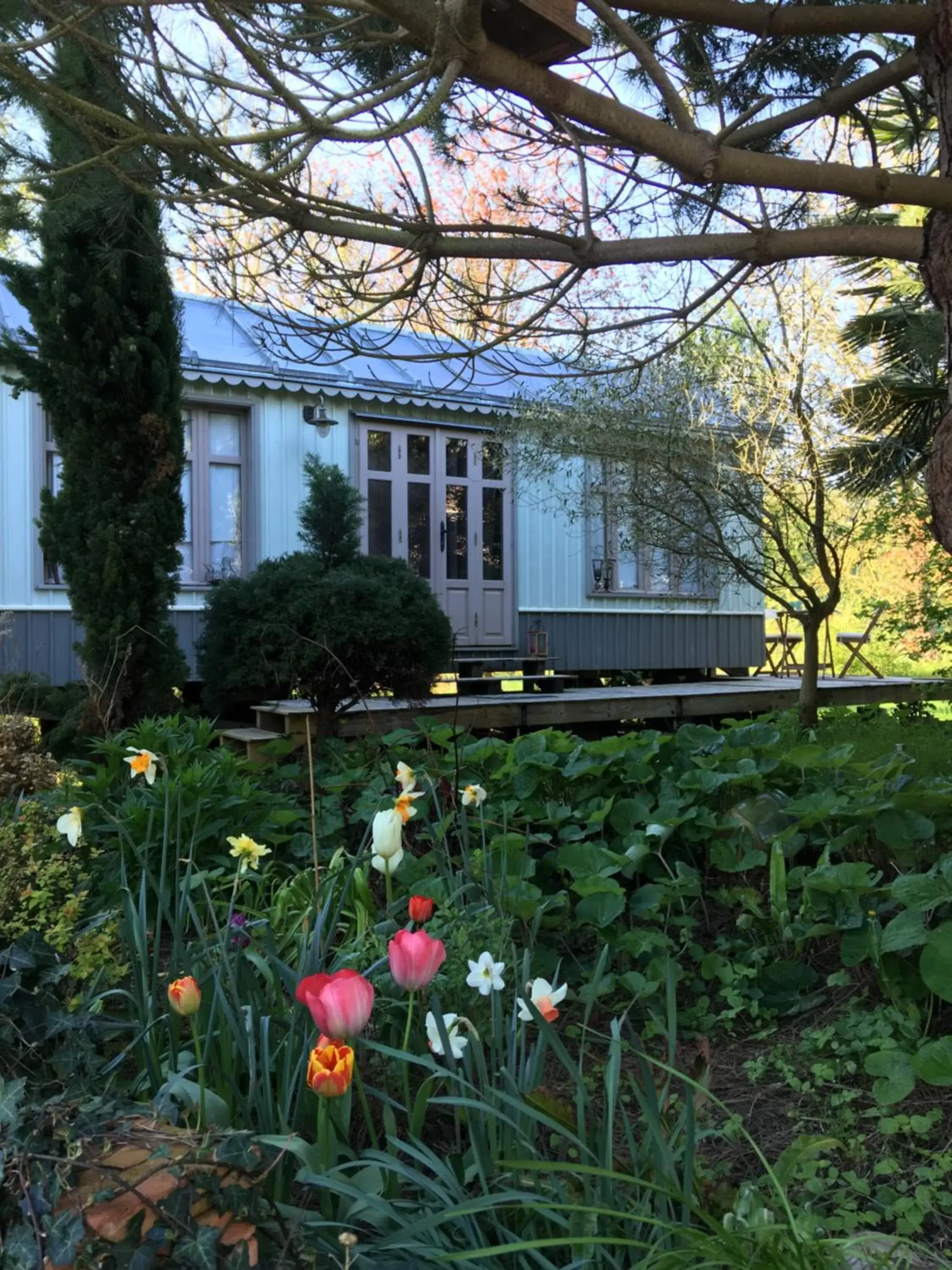 Garden, Property Building in Le mas Normand