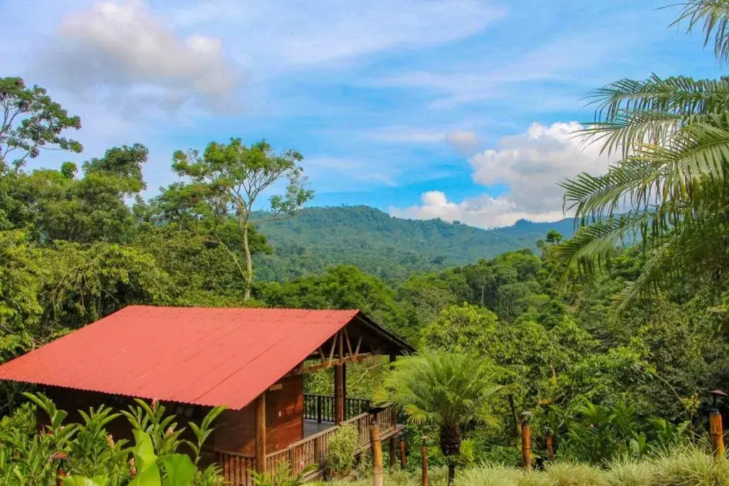 Natural landscape in Argovia Finca Resort