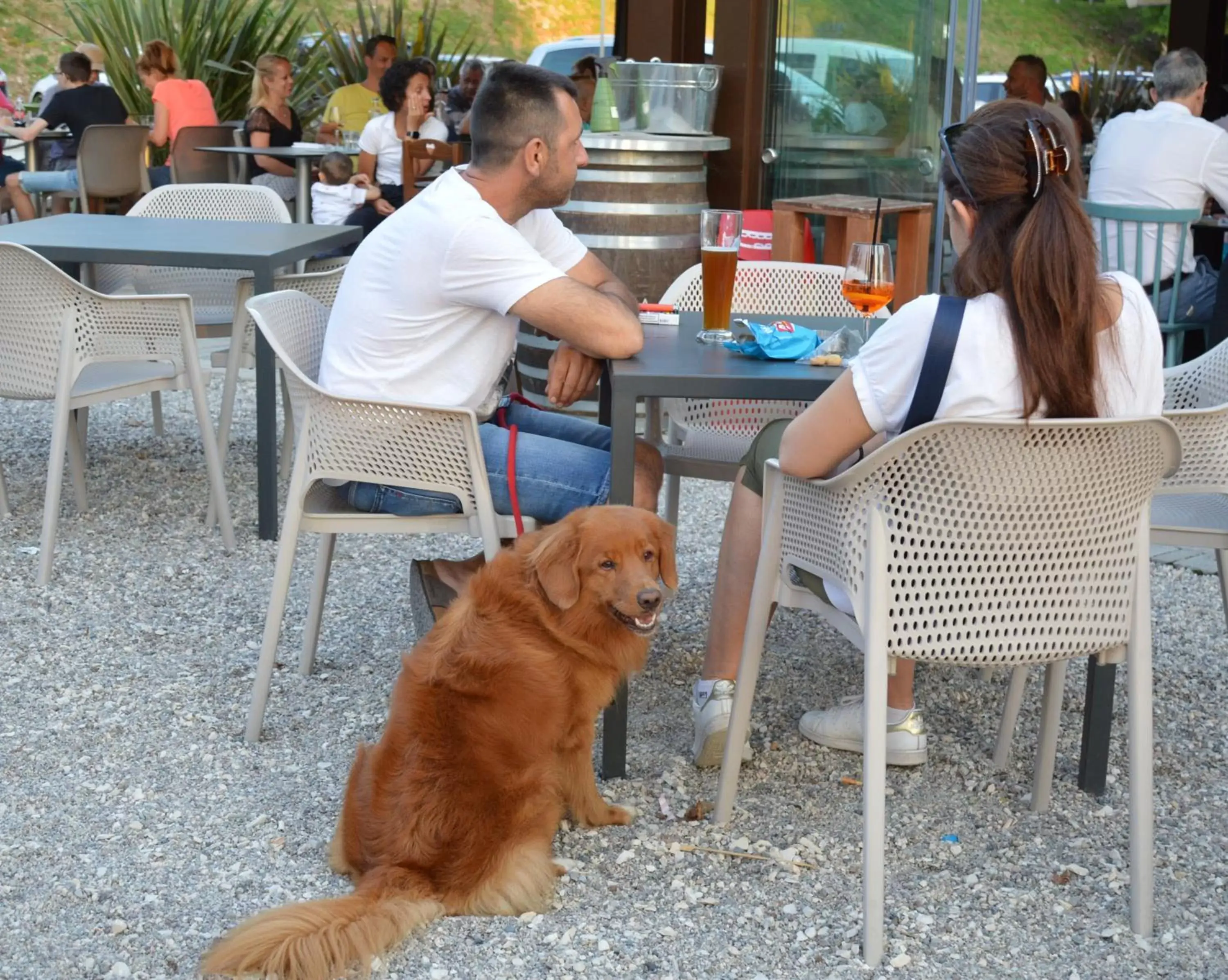 Restaurant/places to eat in Borgo Stazione Bike Inn