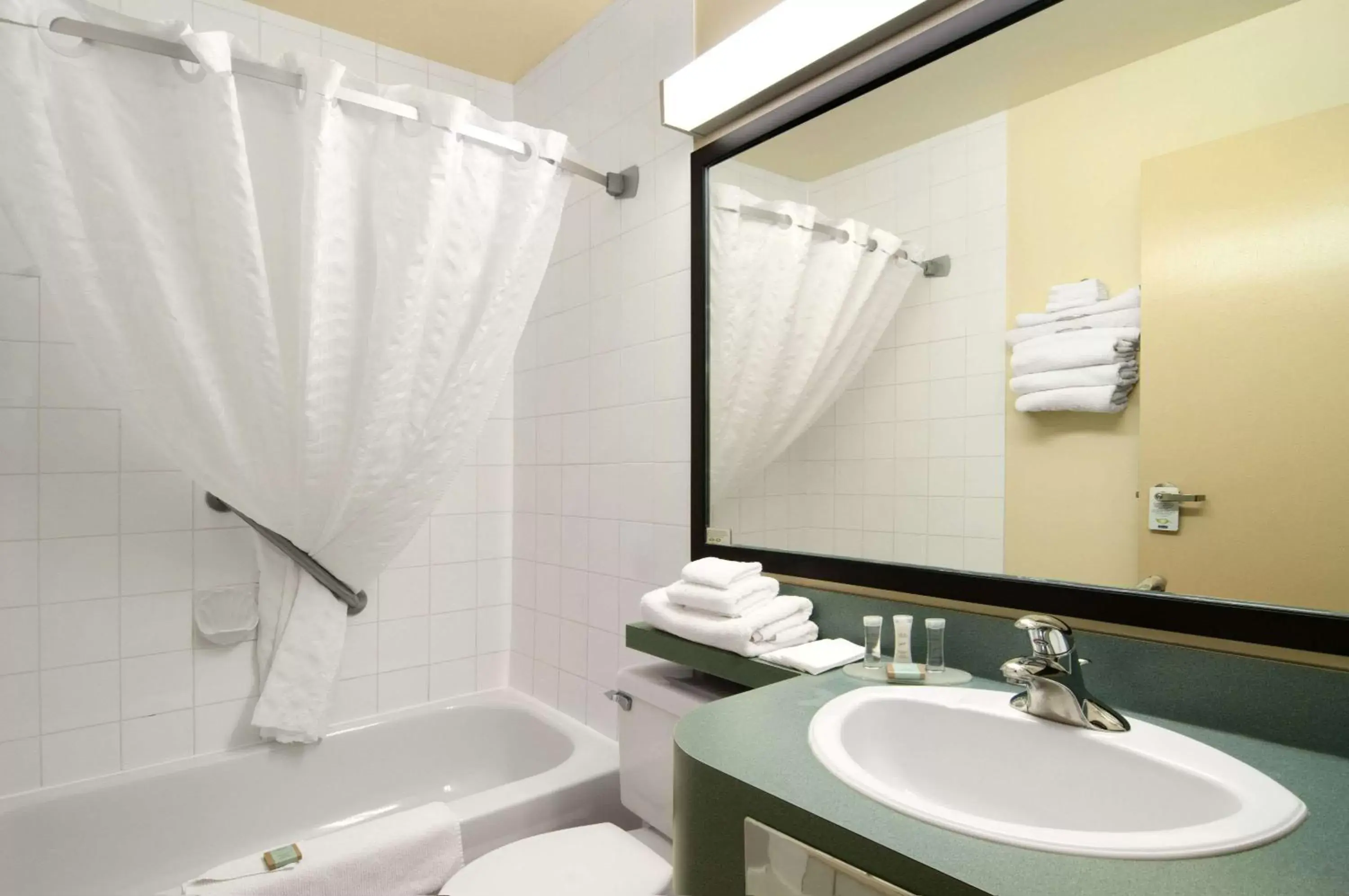 Bathroom in Travelodge by Wyndham Drumheller AB