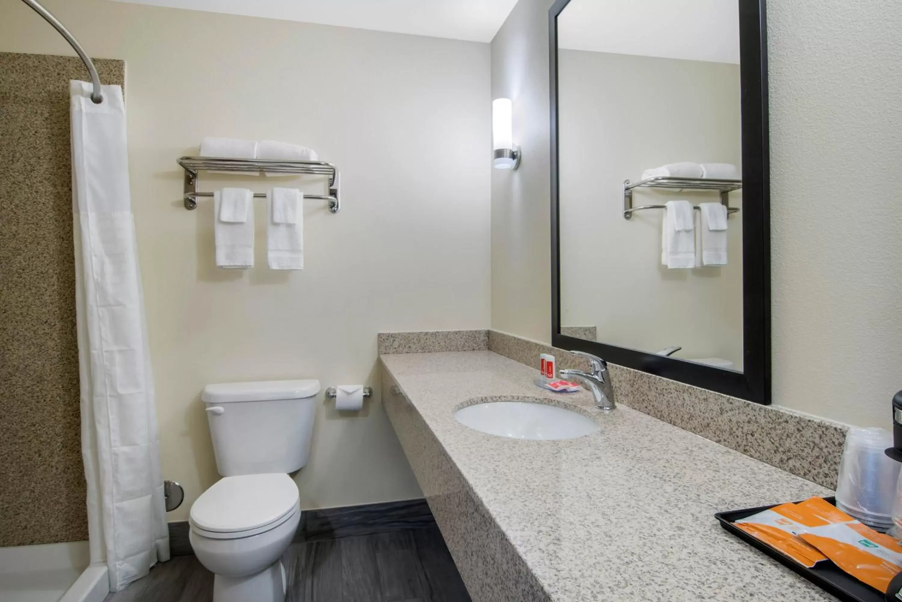 Bathroom in Econo Lodge Inn & Suites