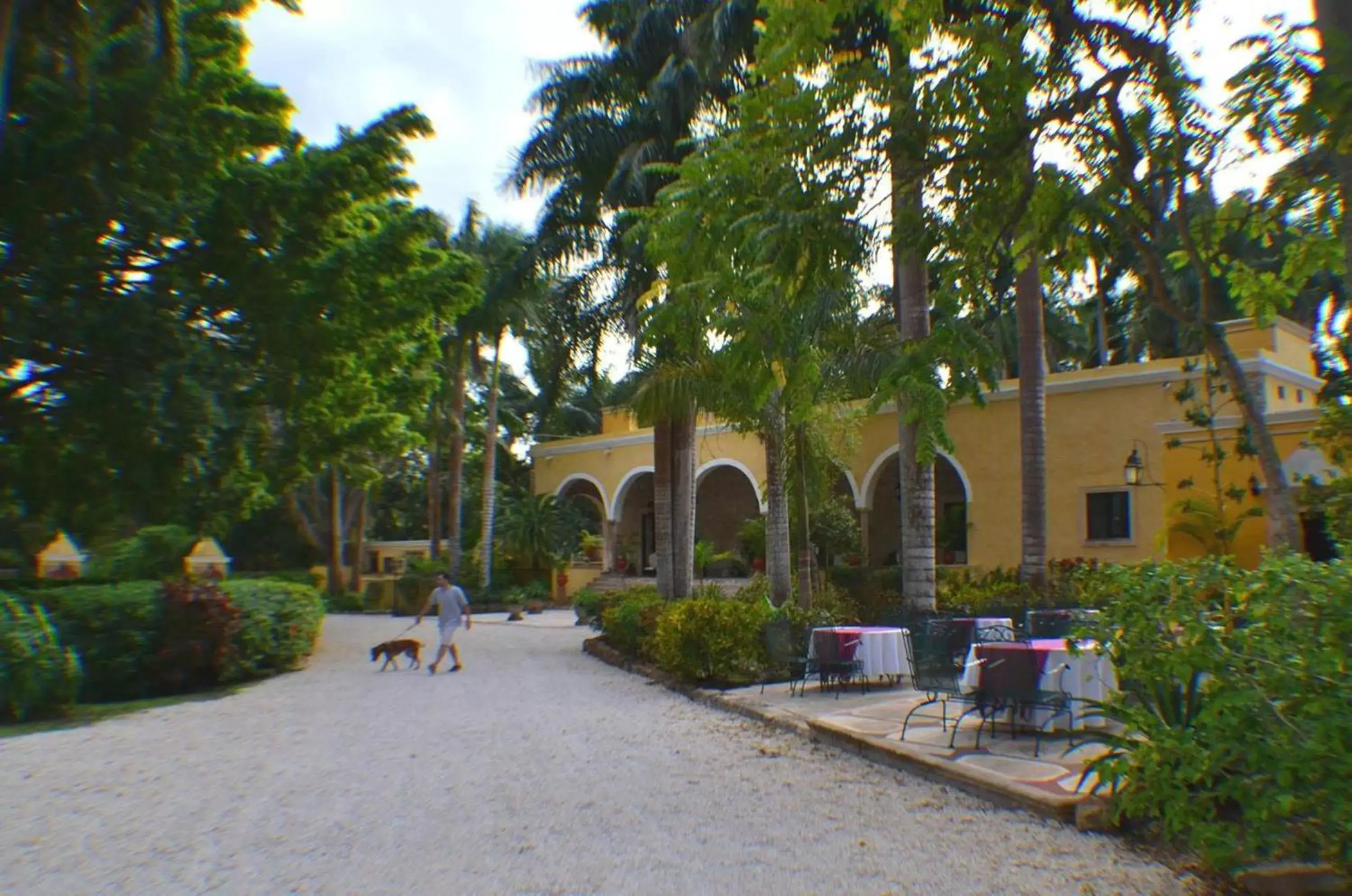 Patio, Property Building in Hacienda Chichen Resort and Yaxkin Spa