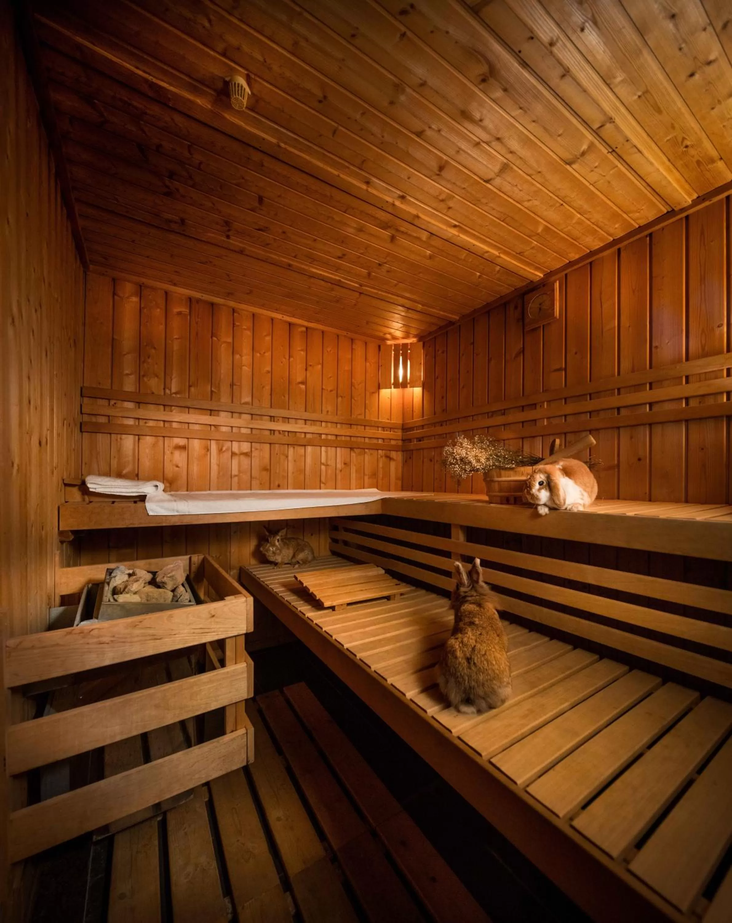 Sauna in Fettehenne Gästehaus
