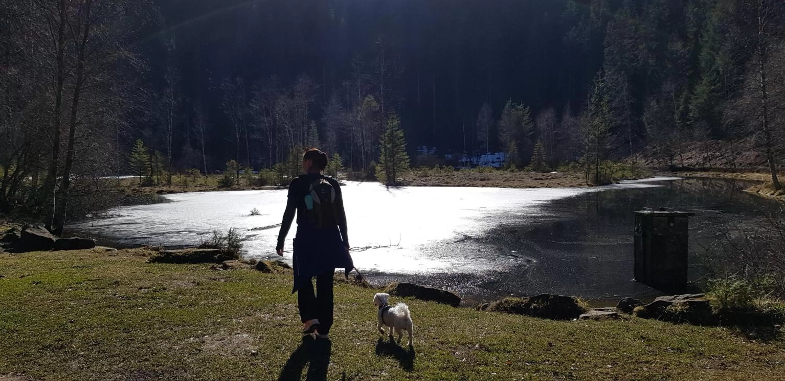 Hiking in Hotel Teuchelwald