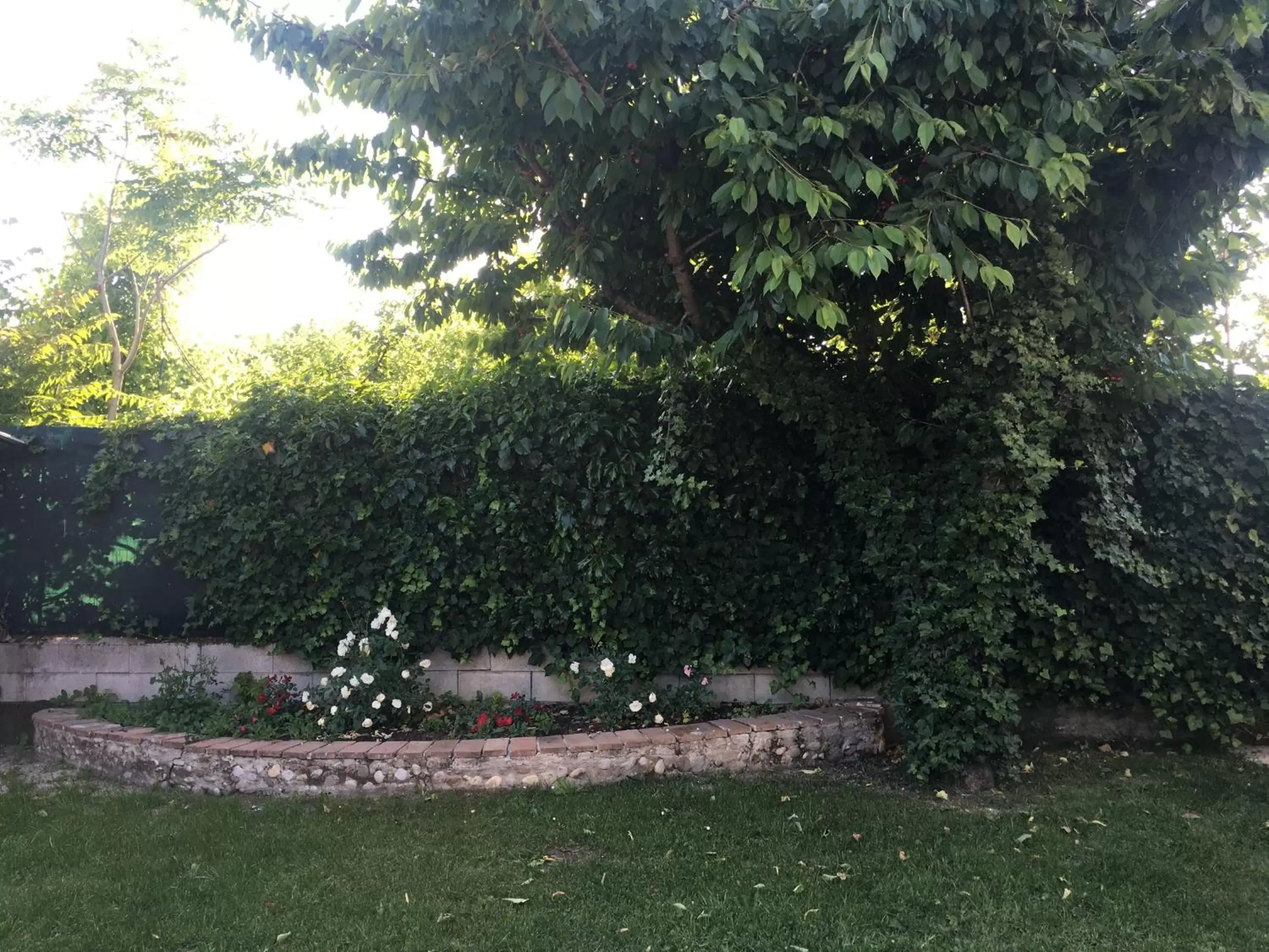 Garden in Ca' Le Rose