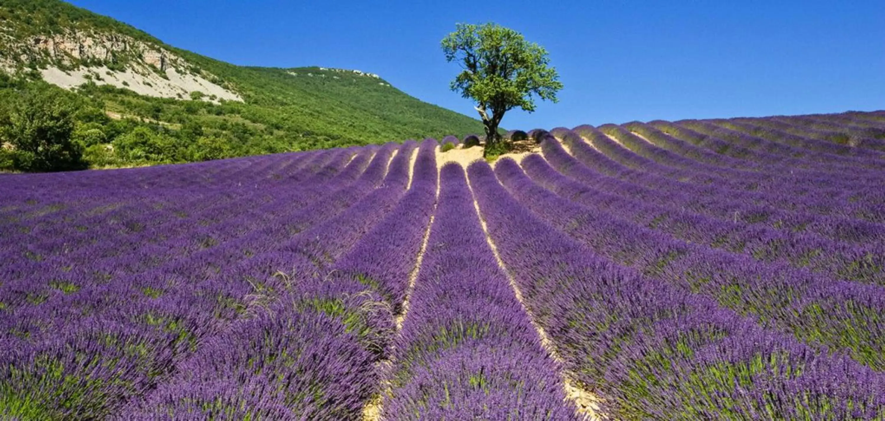 Natural landscape in Campanile Valence Sud