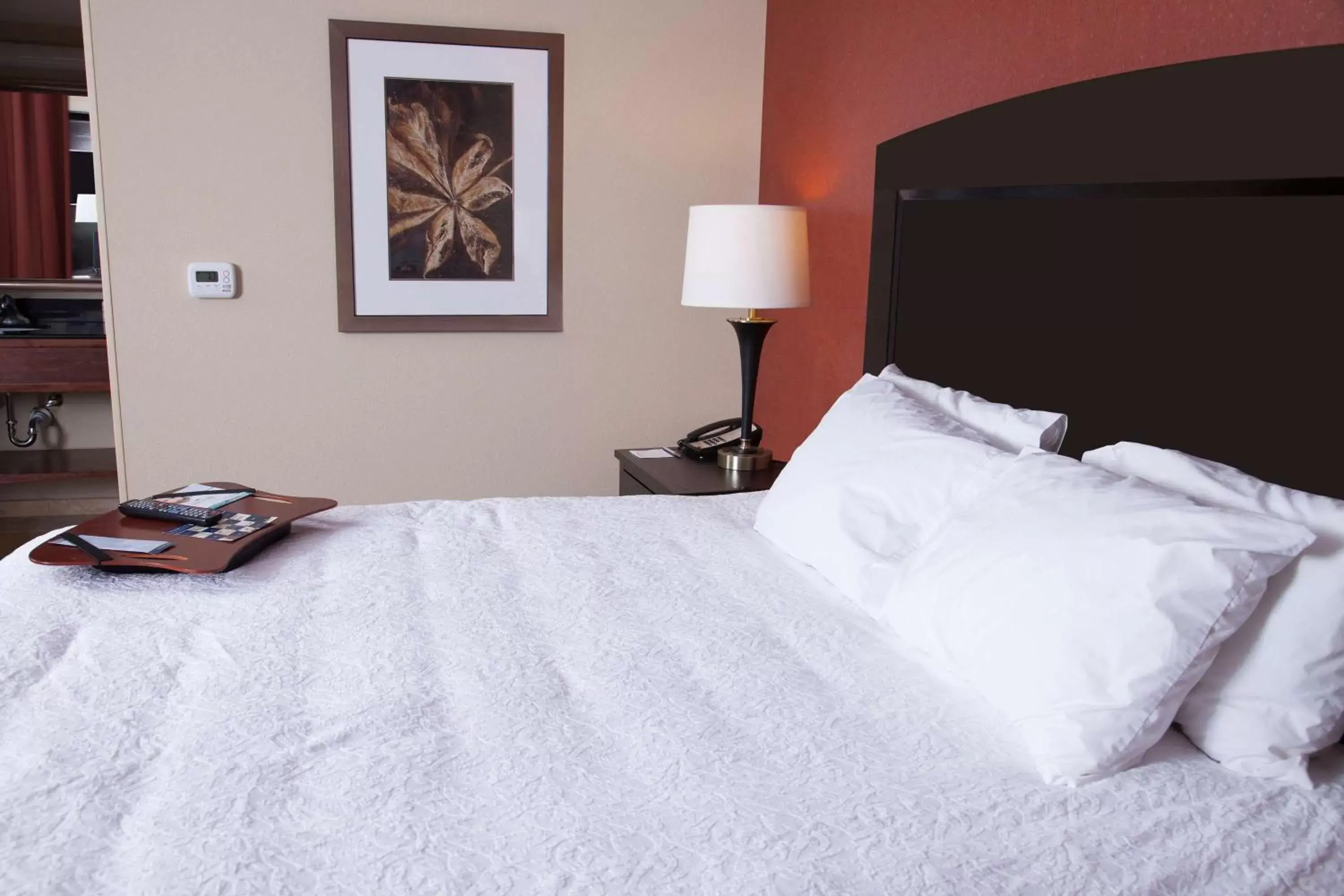 King Studio - Disability Access in Hampton Inn & Suites Dickinson ND King Studio - Disability Access in Hampton Inn & Suites Dickinson ND