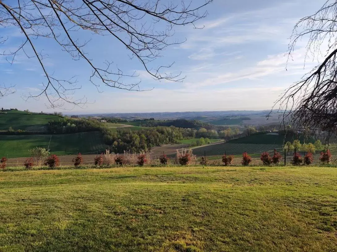 Garden in Villa Pieve