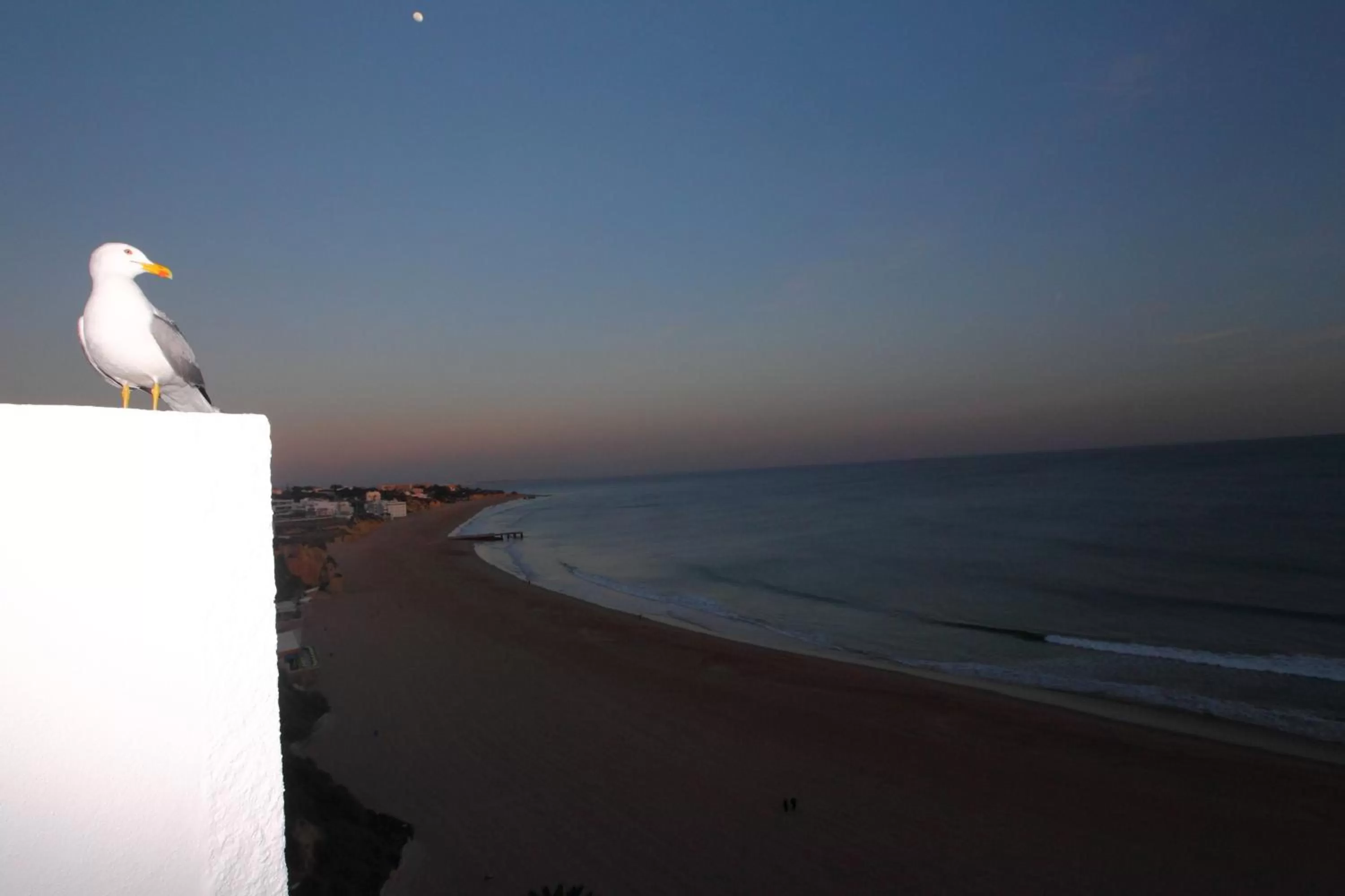 View (from property/room) in Rocamar Exclusive Hotel & Spa - Adults Only