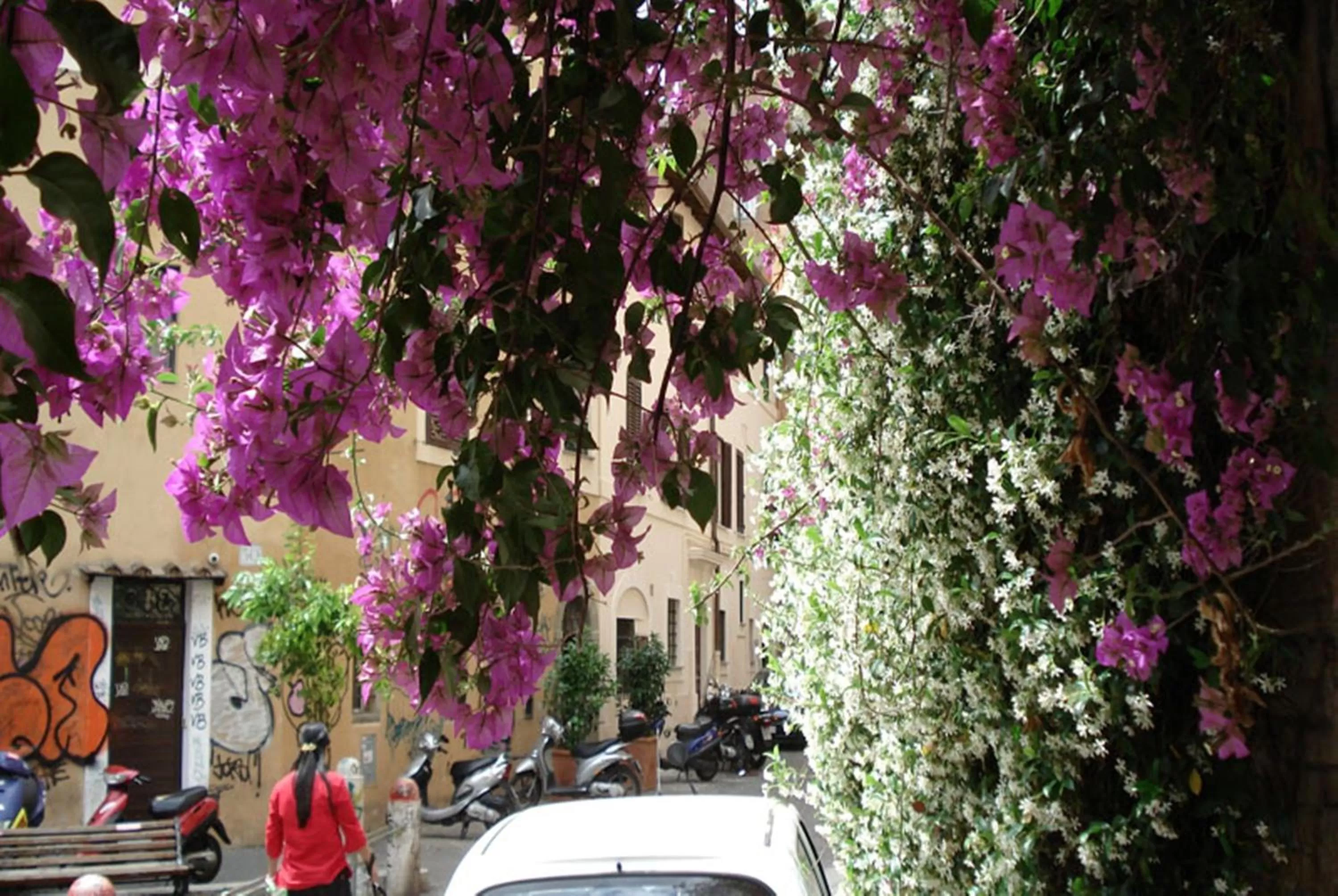 Facade/entrance in B&B Ventisei Scalini A Trastevere