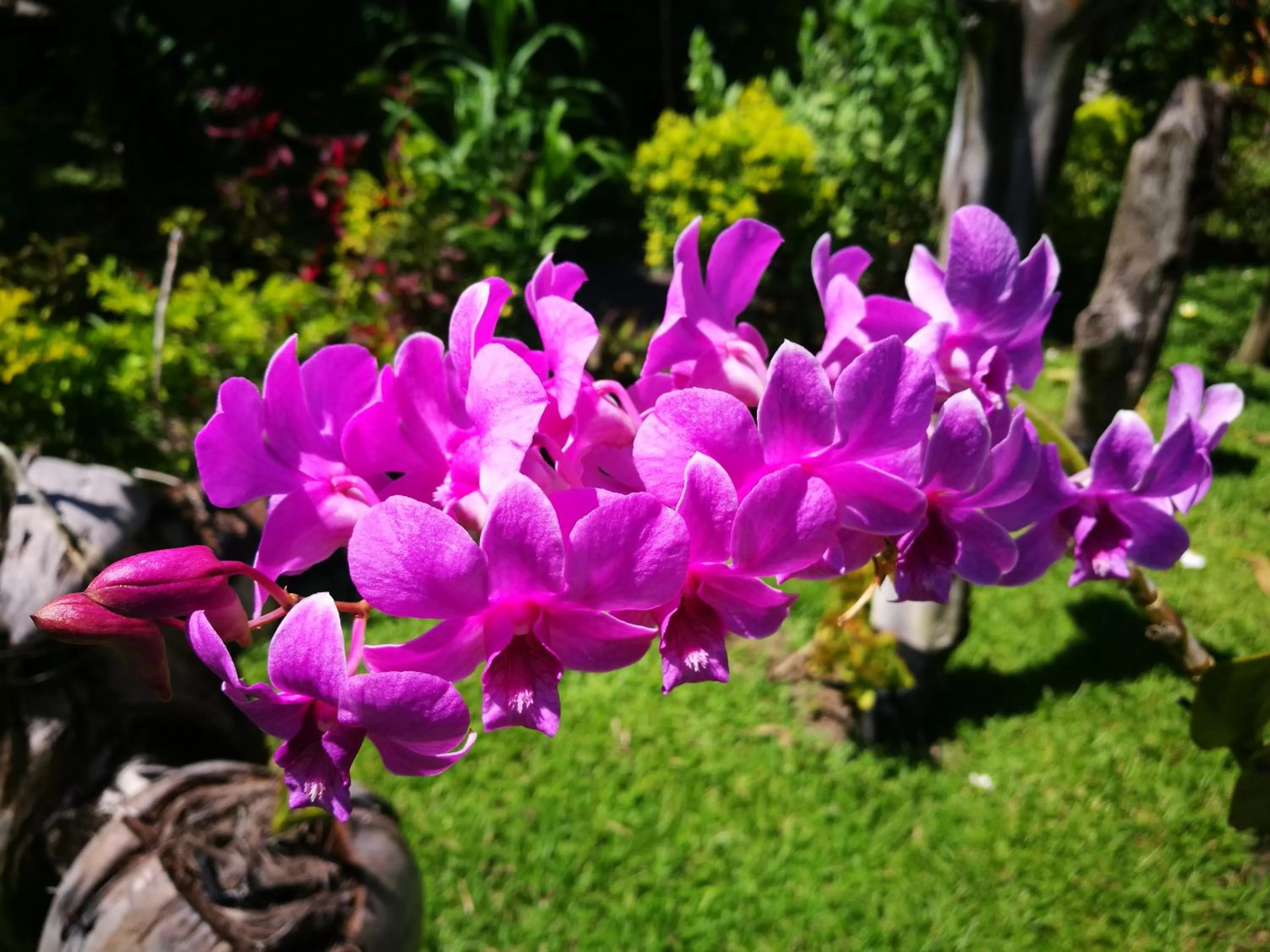 Rapopo Plantation Resort