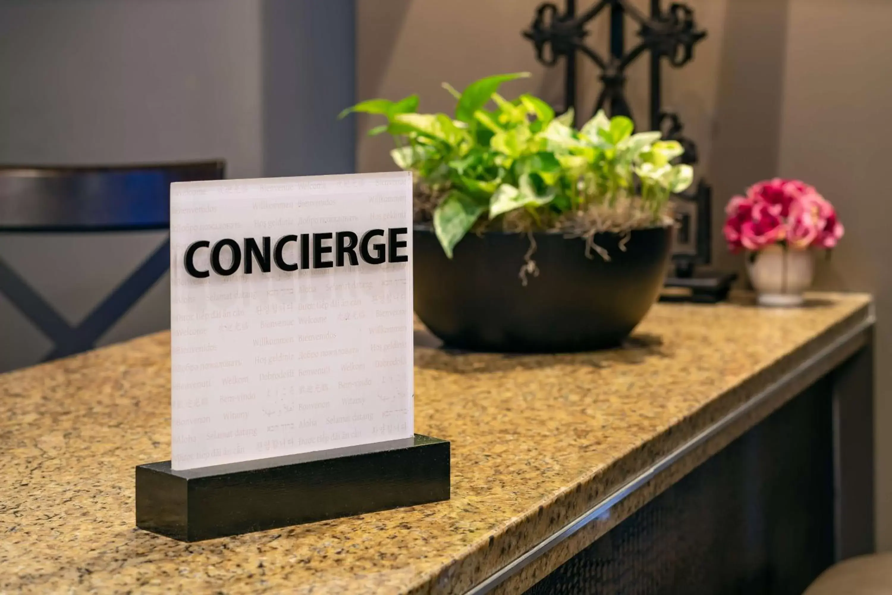 Lobby or reception in Embassy Suites by Hilton New Orleans Convention Center