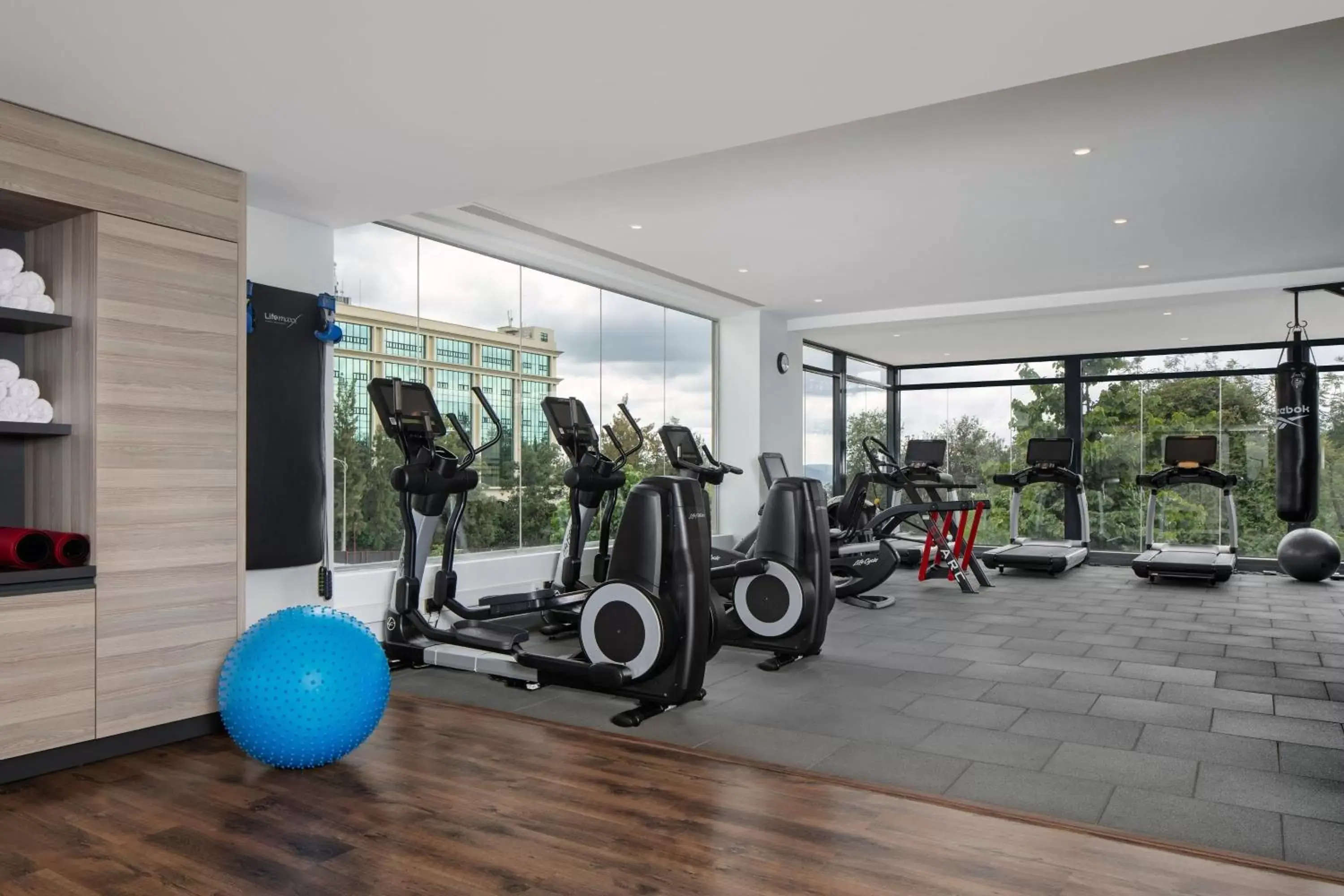 Fitness centre/facilities, Fitness Center/Facilities in Four Points by Sheraton Kigali