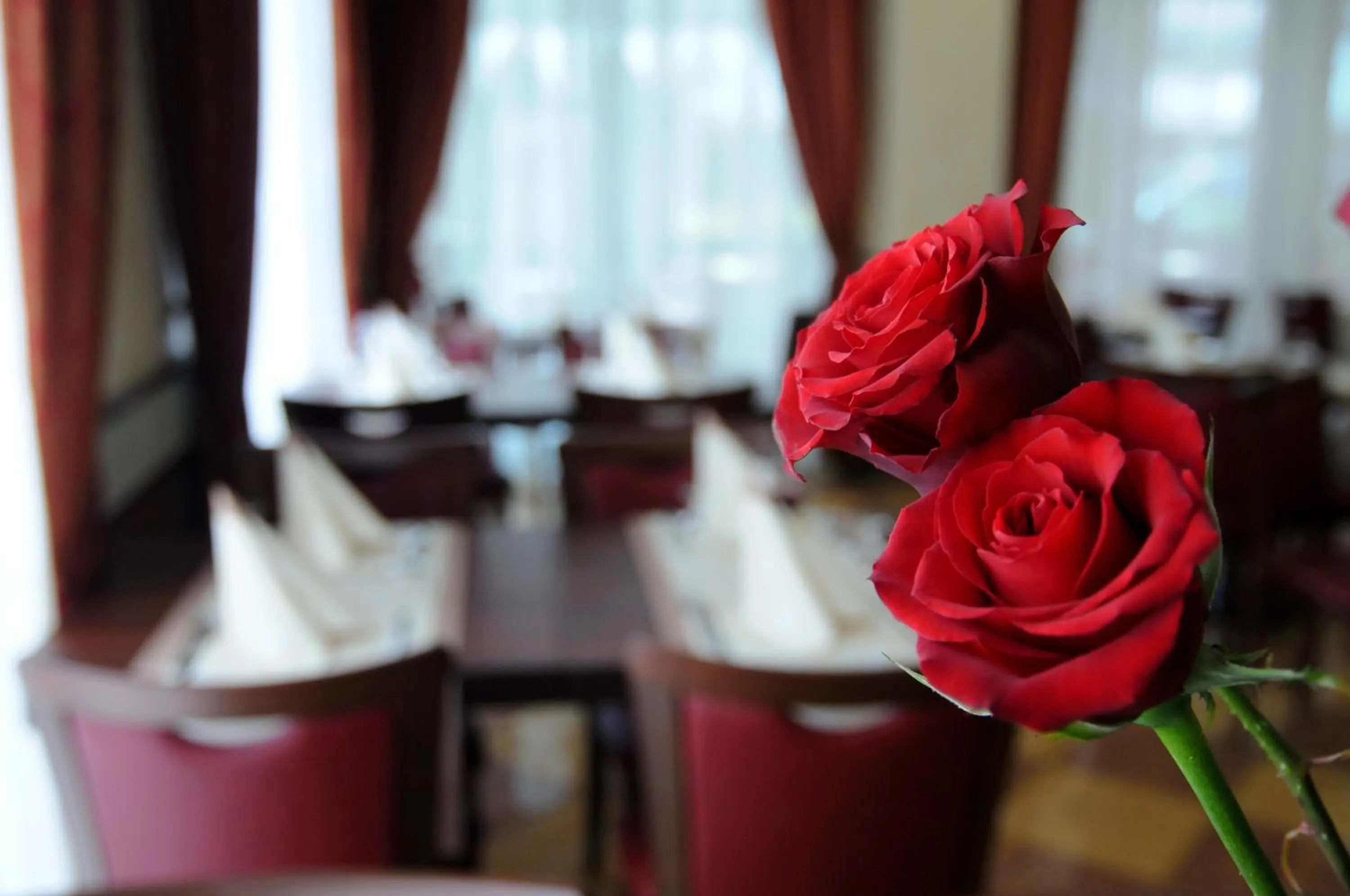 Restaurant/places to eat in Hotel Dei Platani