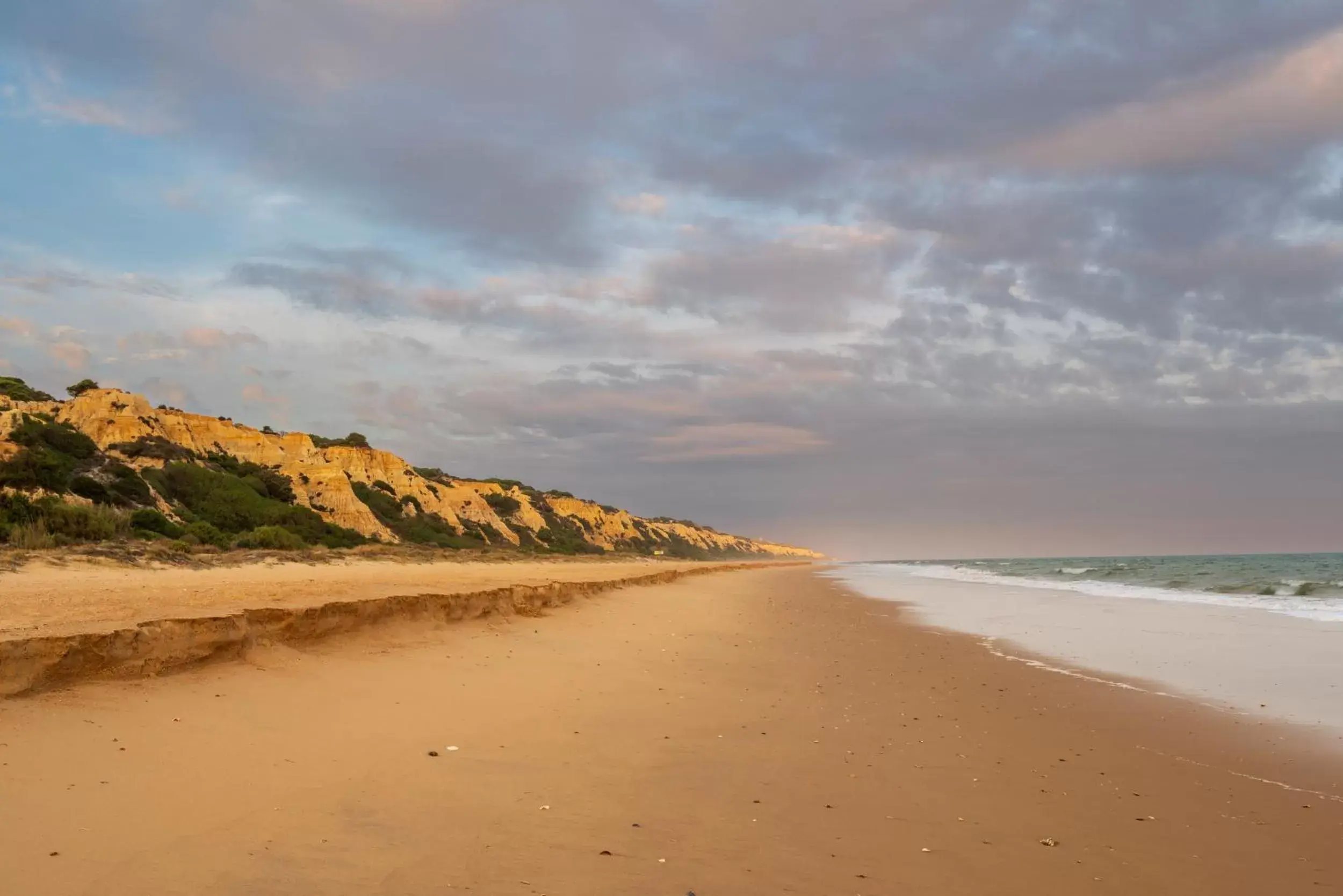 Beach in Parador de Mazagón