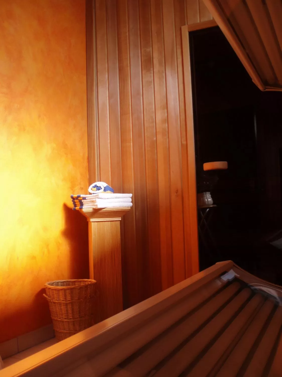 Spa and wellness centre/facilities in Hotel Ambassade