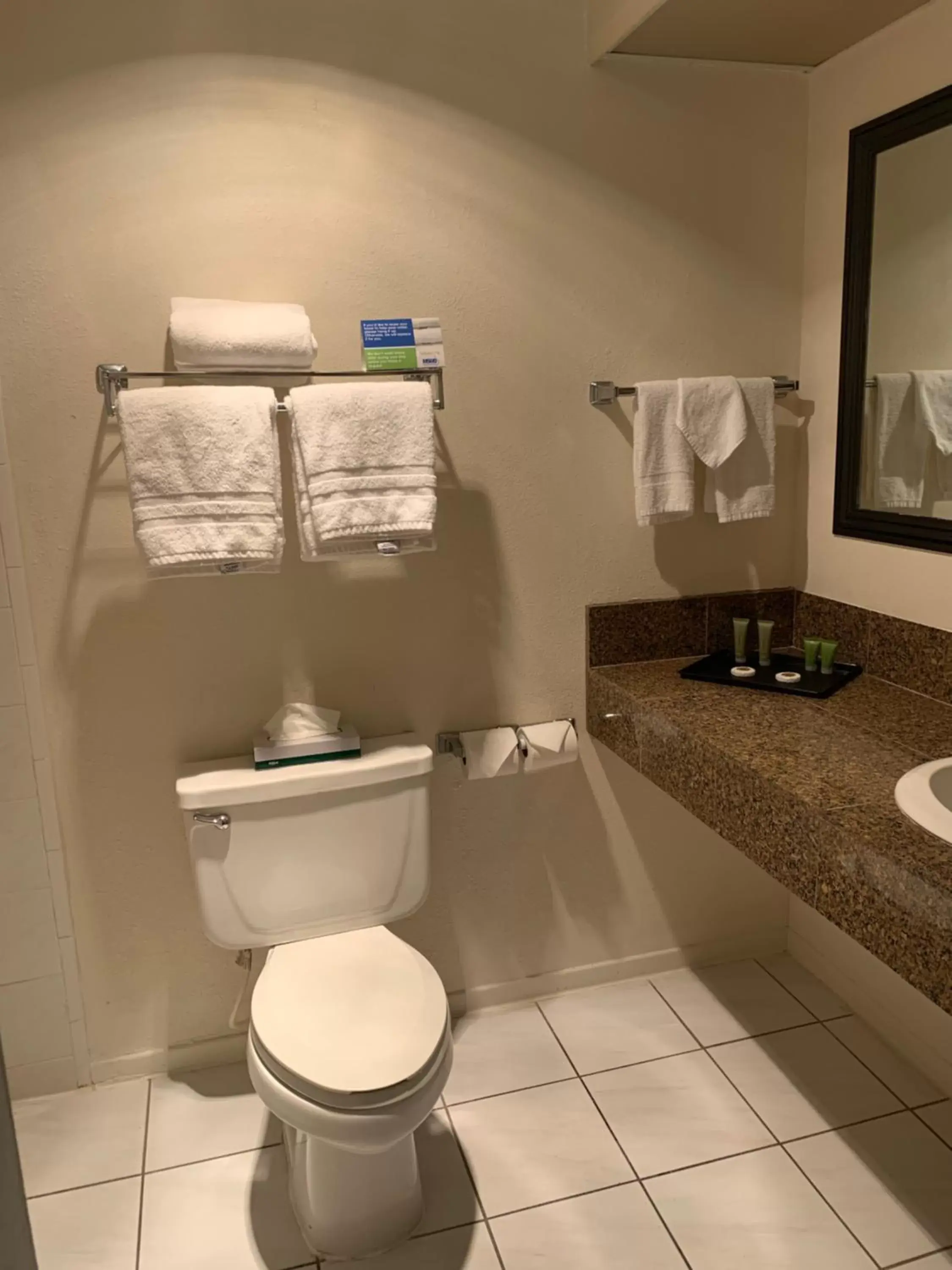 Bathroom in Miracle Springs Resort and Spa