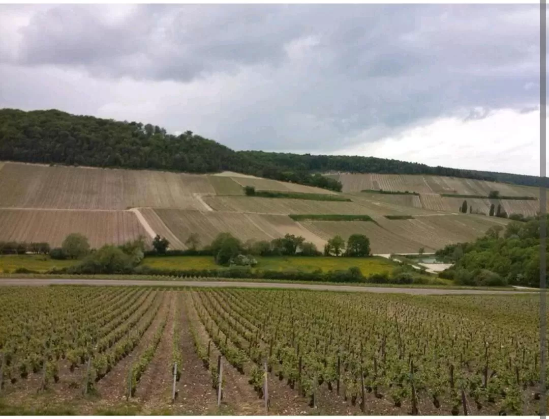 Les chambres touristique Juléa