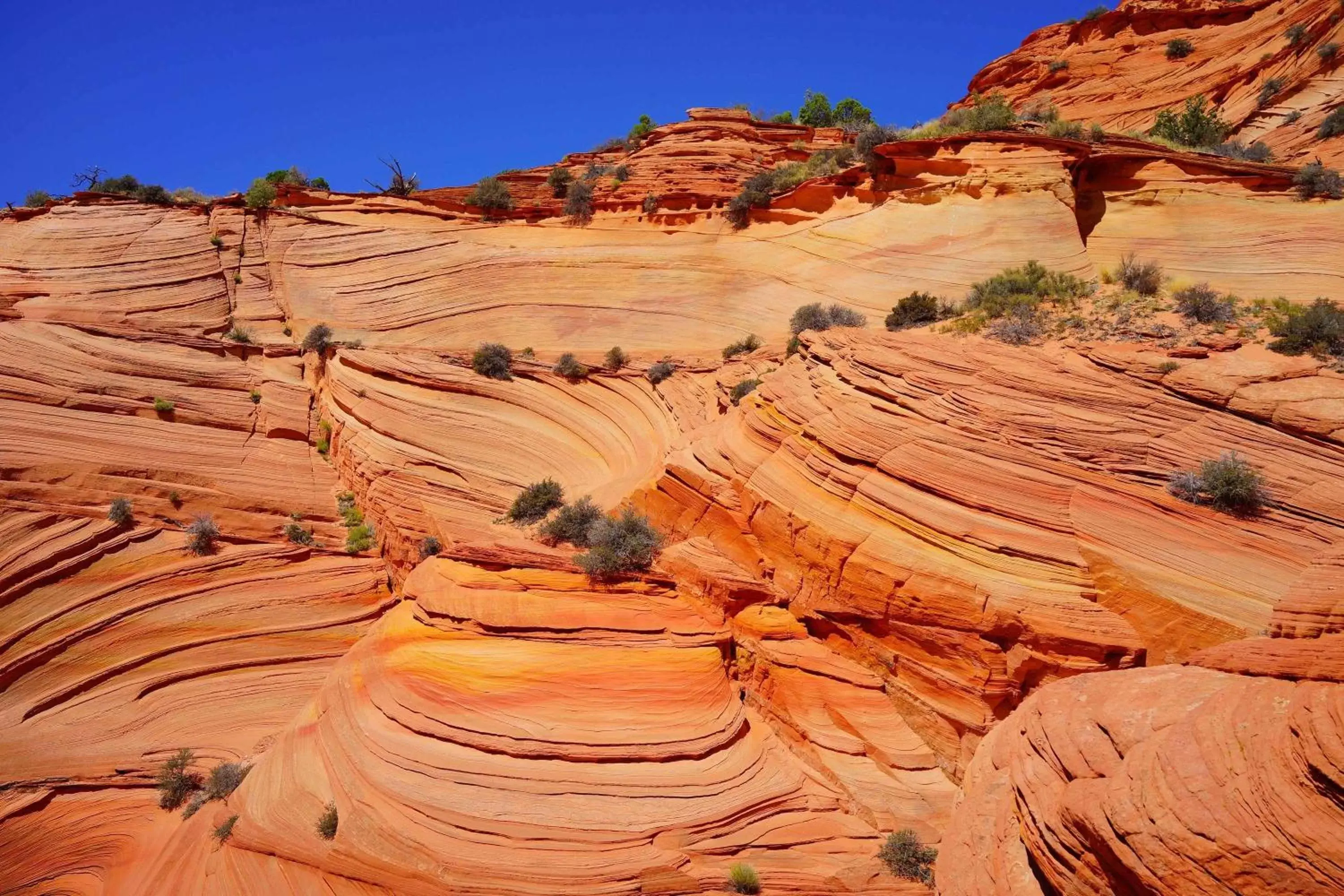 Property building, Natural Landscape in Best Western View of Lake Powell Hotel