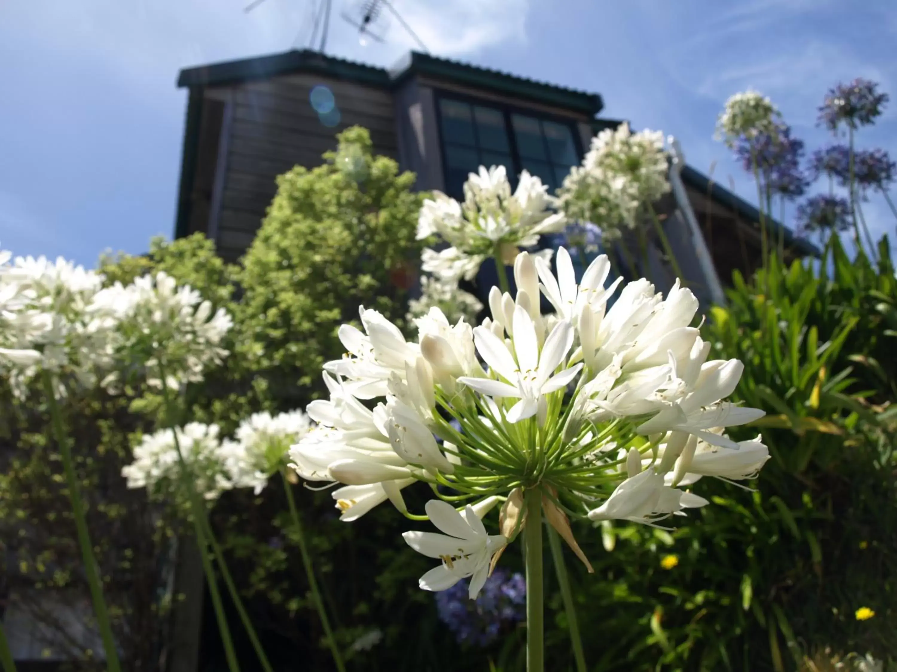 Property Building in Grafton Cottage & Chalets