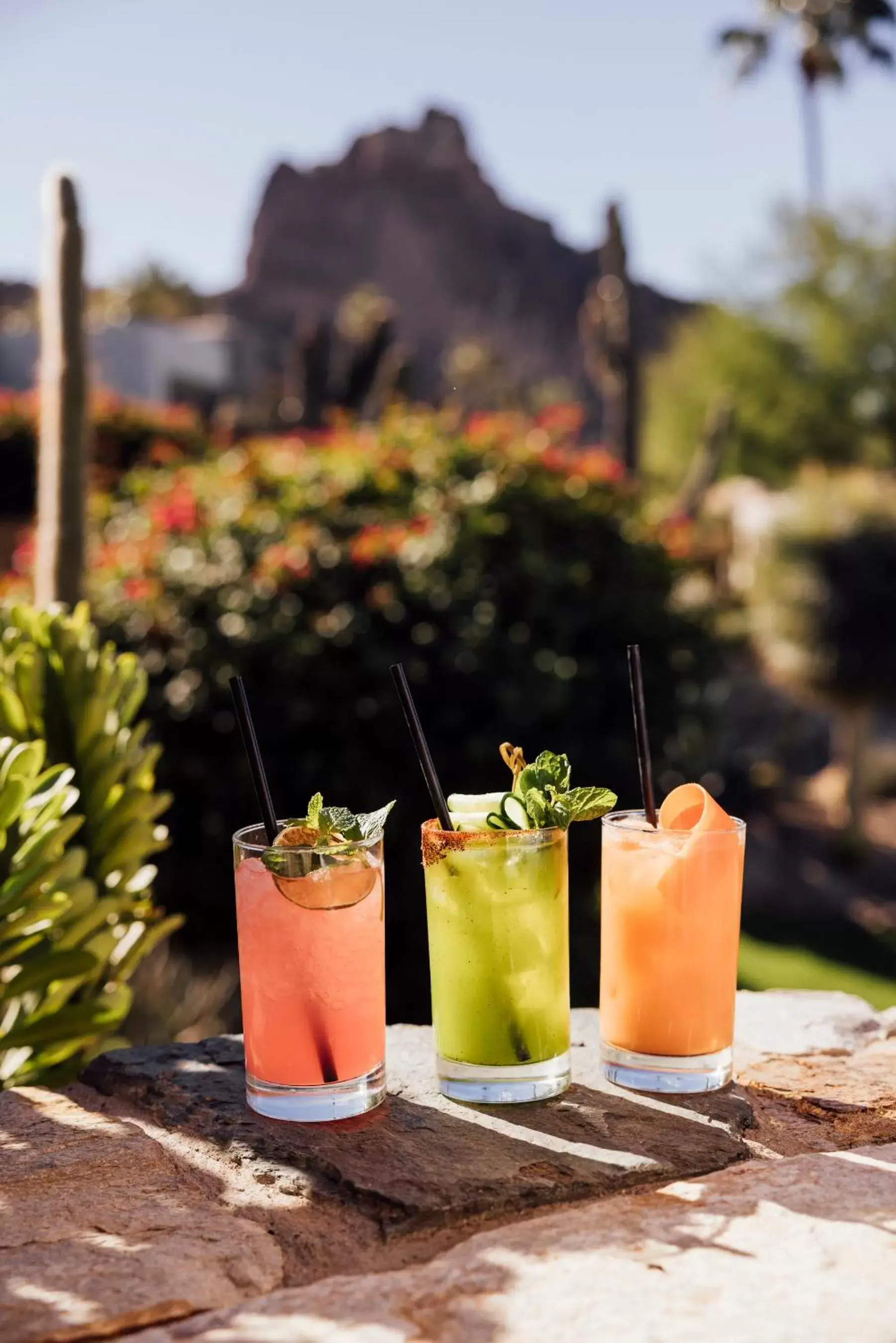 Restaurant/places to eat in Sanctuary Camelback Mountain Resort and Spa Restaurant/places to eat in Sanctuary Camelback Mountain Resort and Spa