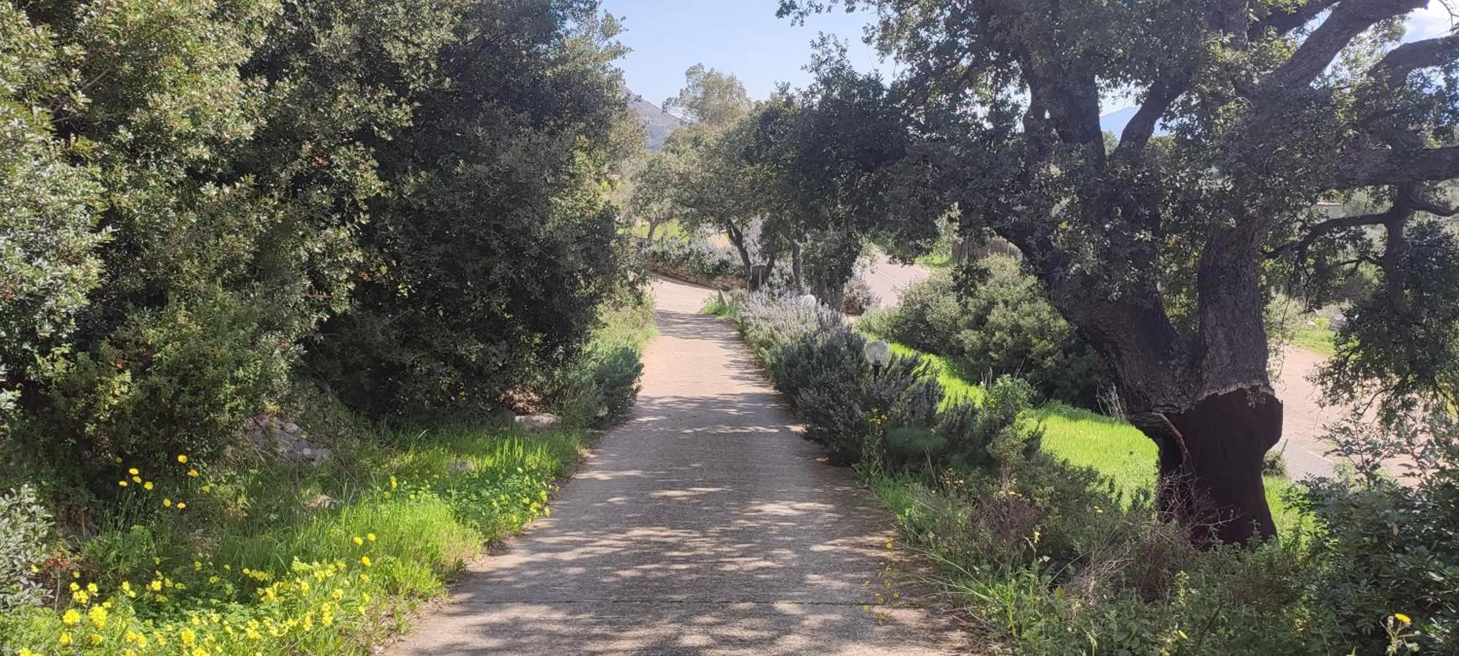 Property building in Il Nuraghe