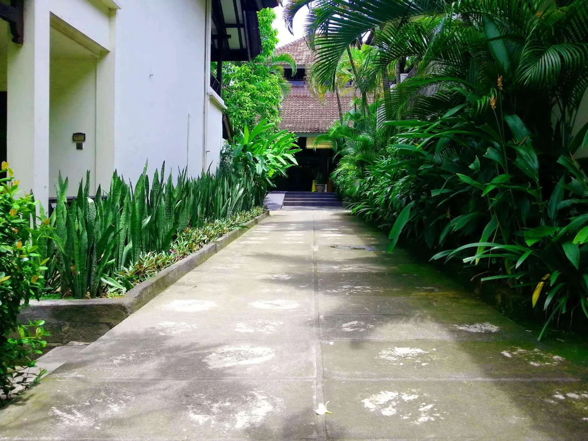 Other in Legian Paradiso Hotel