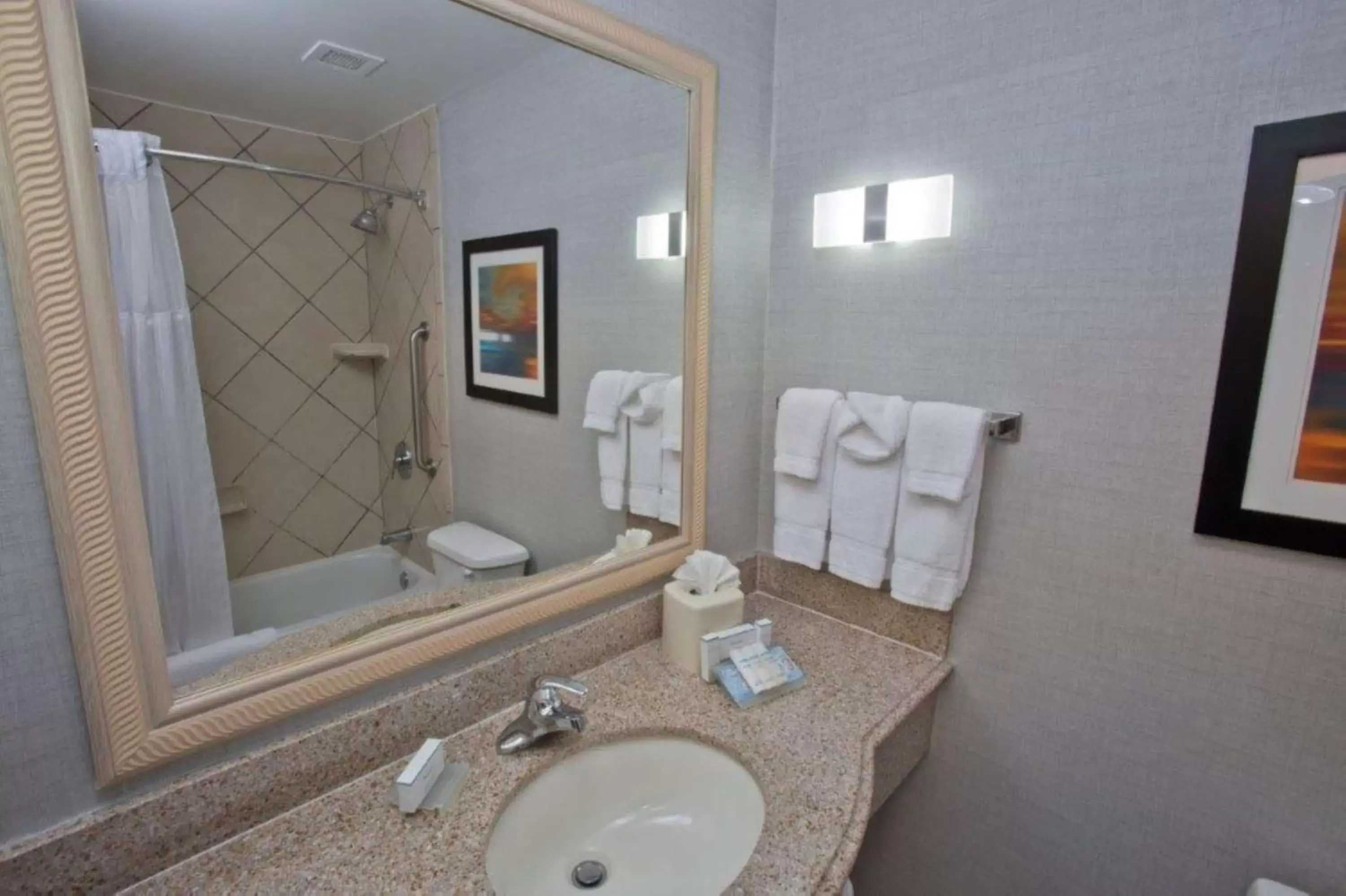 Bathroom in Hilton Garden Inn Starkville