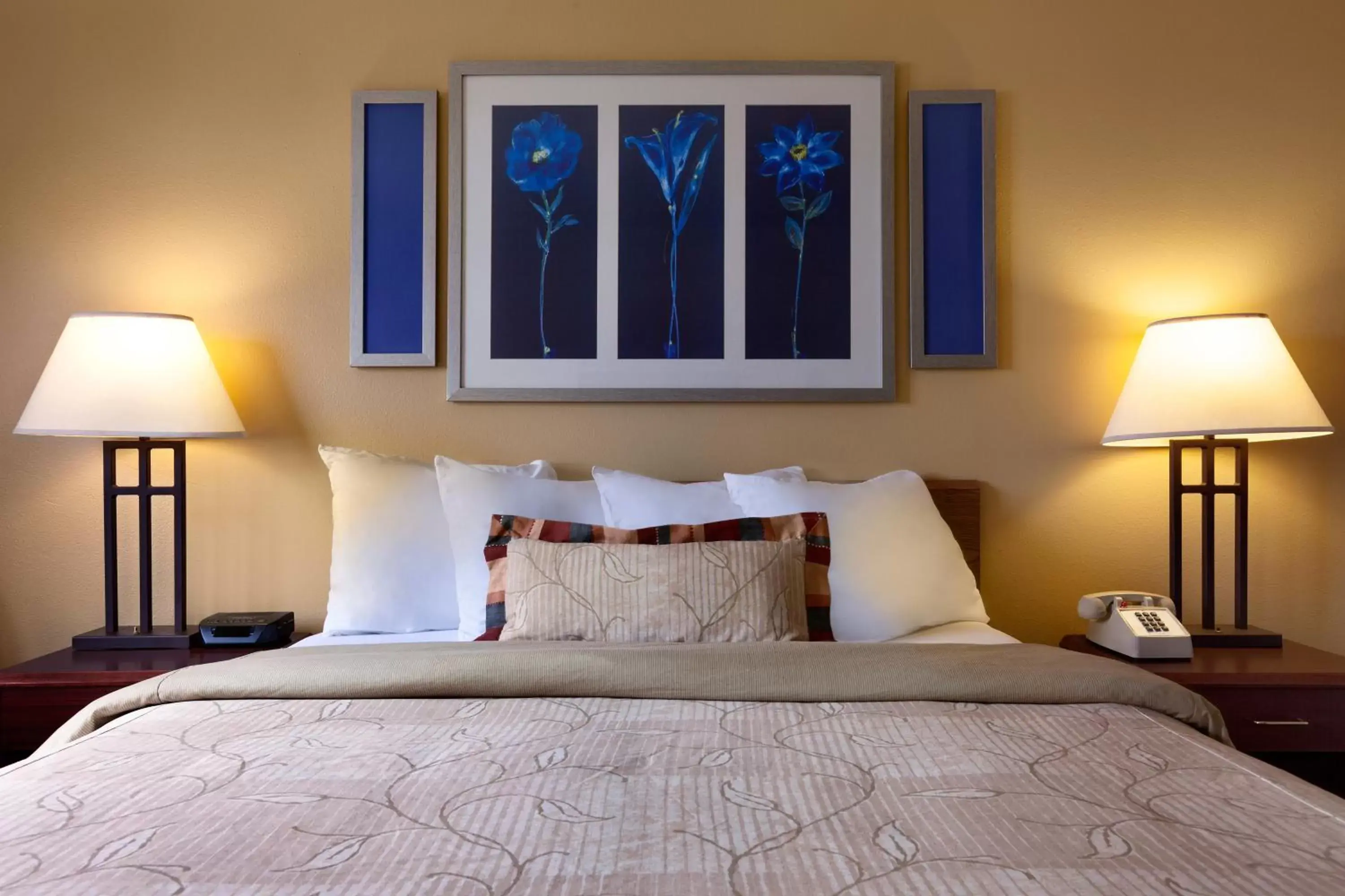 Bed in Days Inn by Wyndham Austin Bed in Days Inn by Wyndham Austin