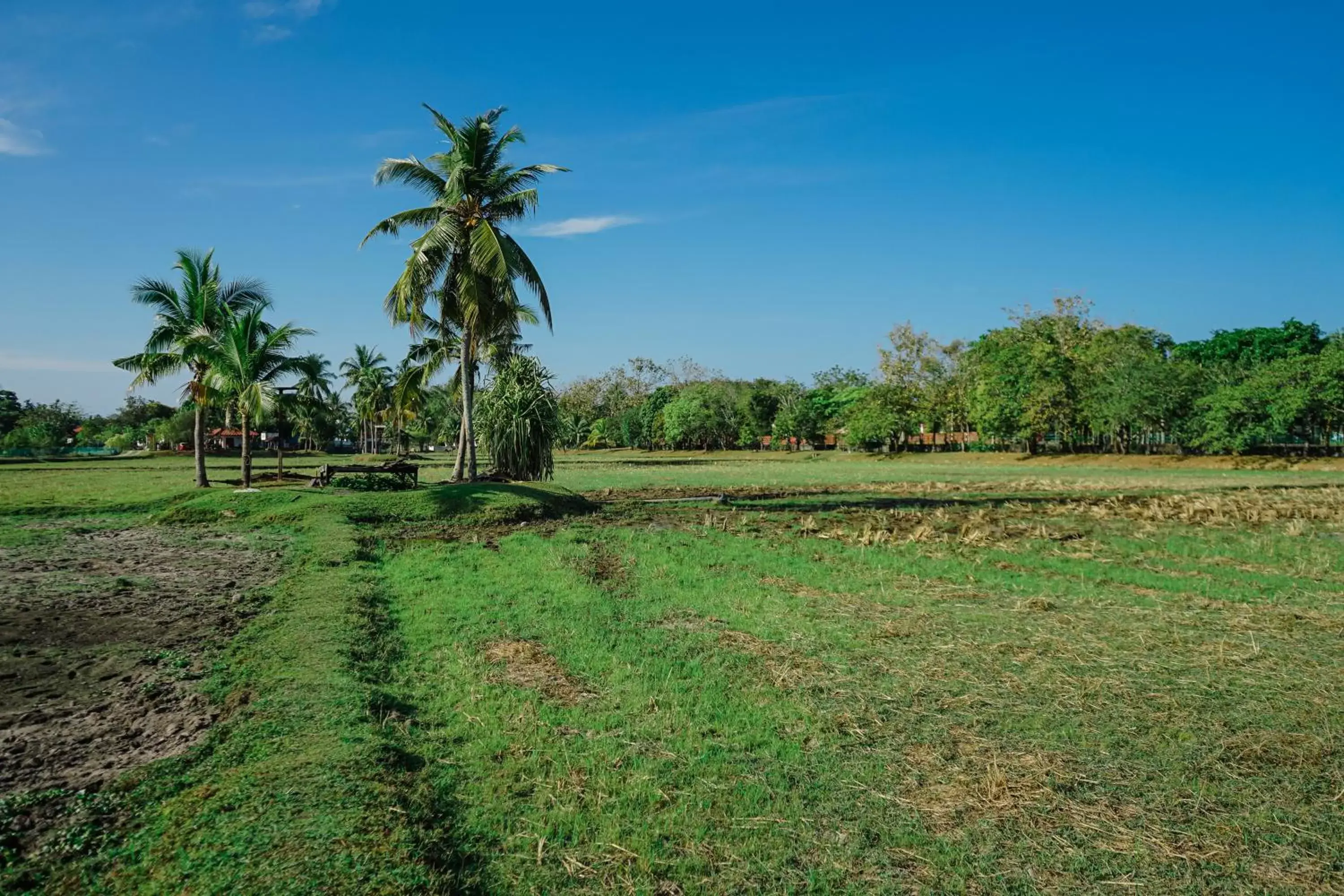 Garden in The Gemalai Village