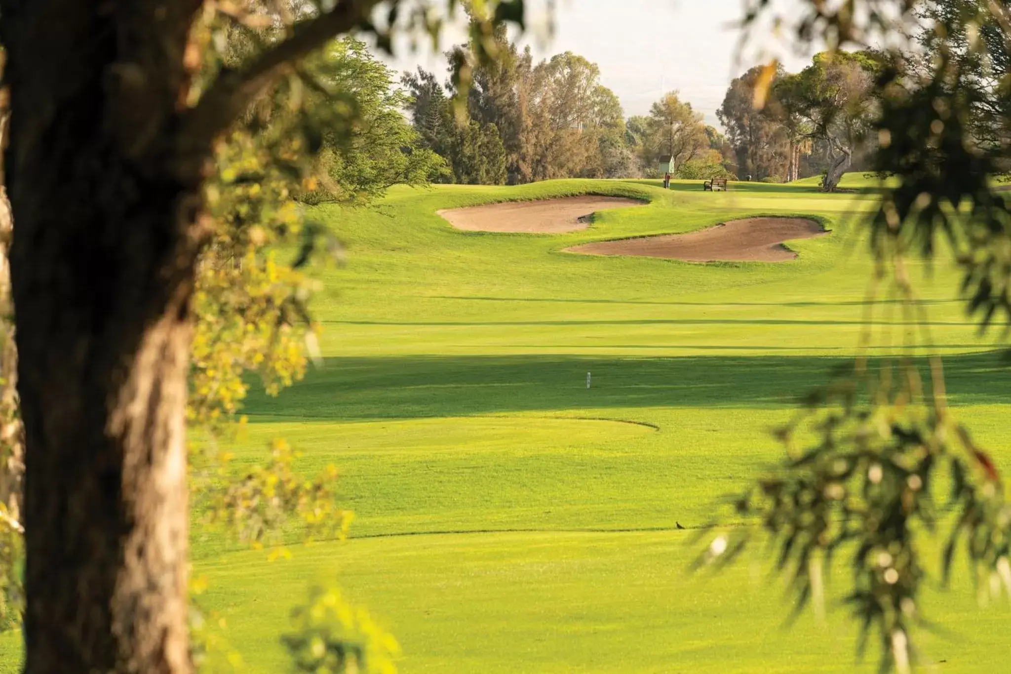 Other, Golf in Paniolo Greens Resort