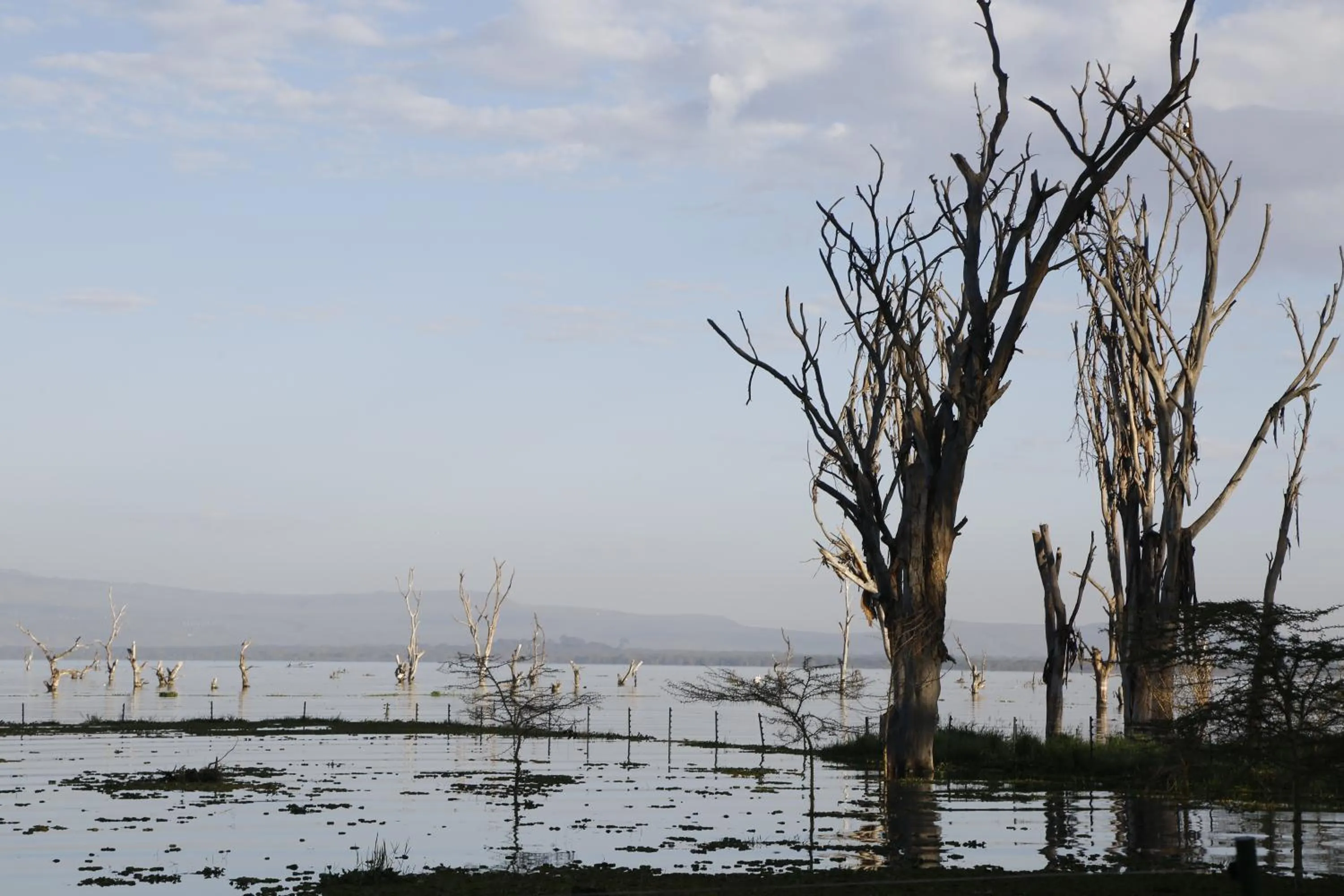 Lake view in Lake Naivasha Resort