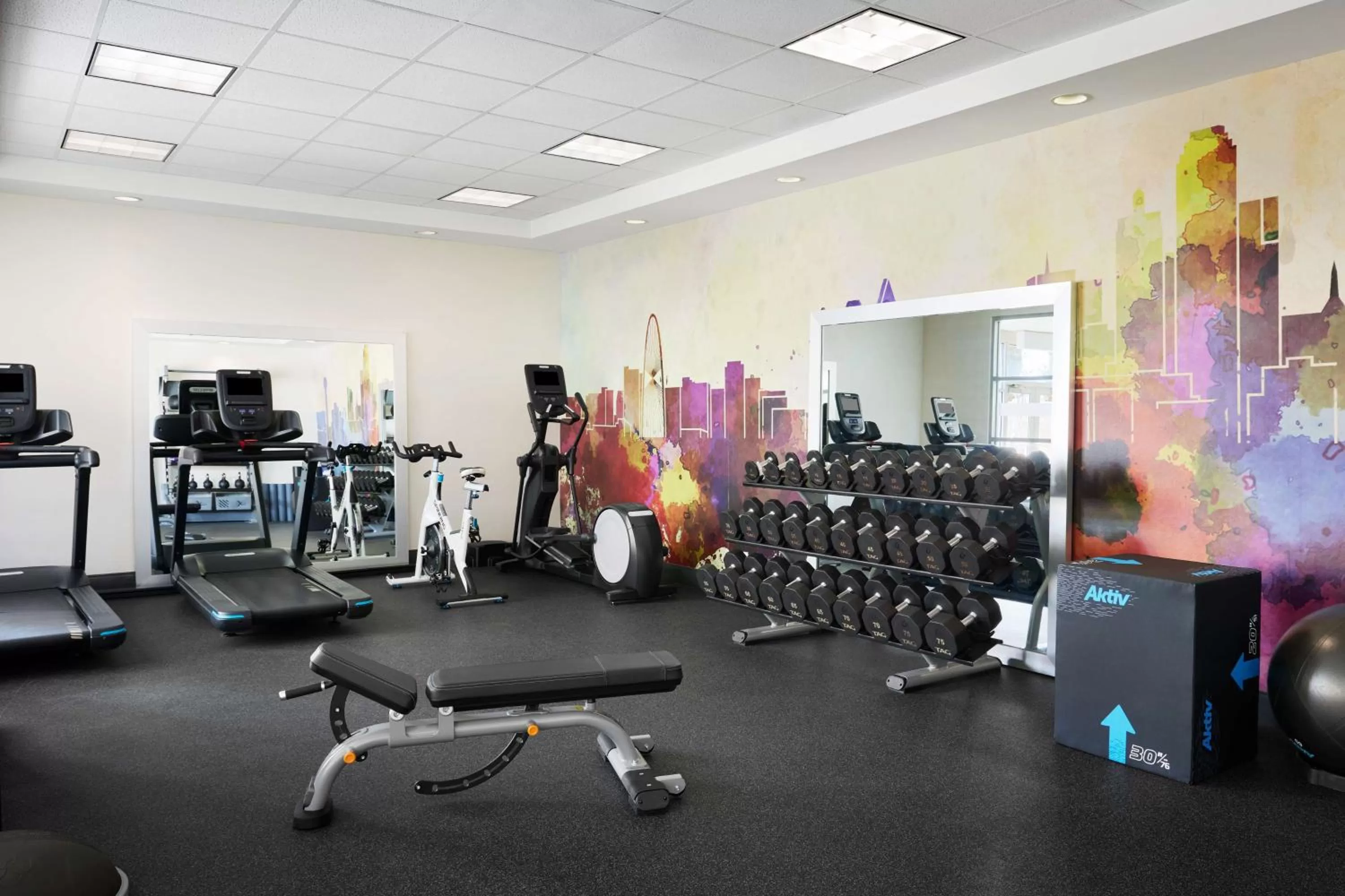 Fitness centre/facilities in Hilton Garden Inn Dallas Richardson