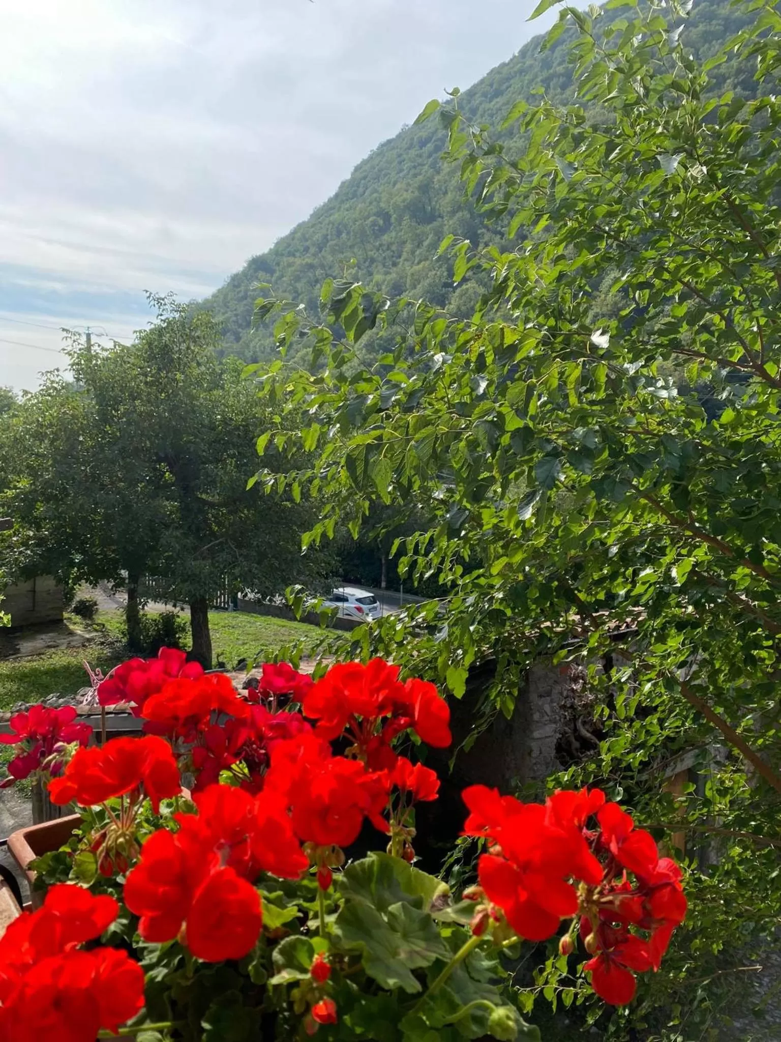 View (from property/room) in B&B La Corte del Segrino