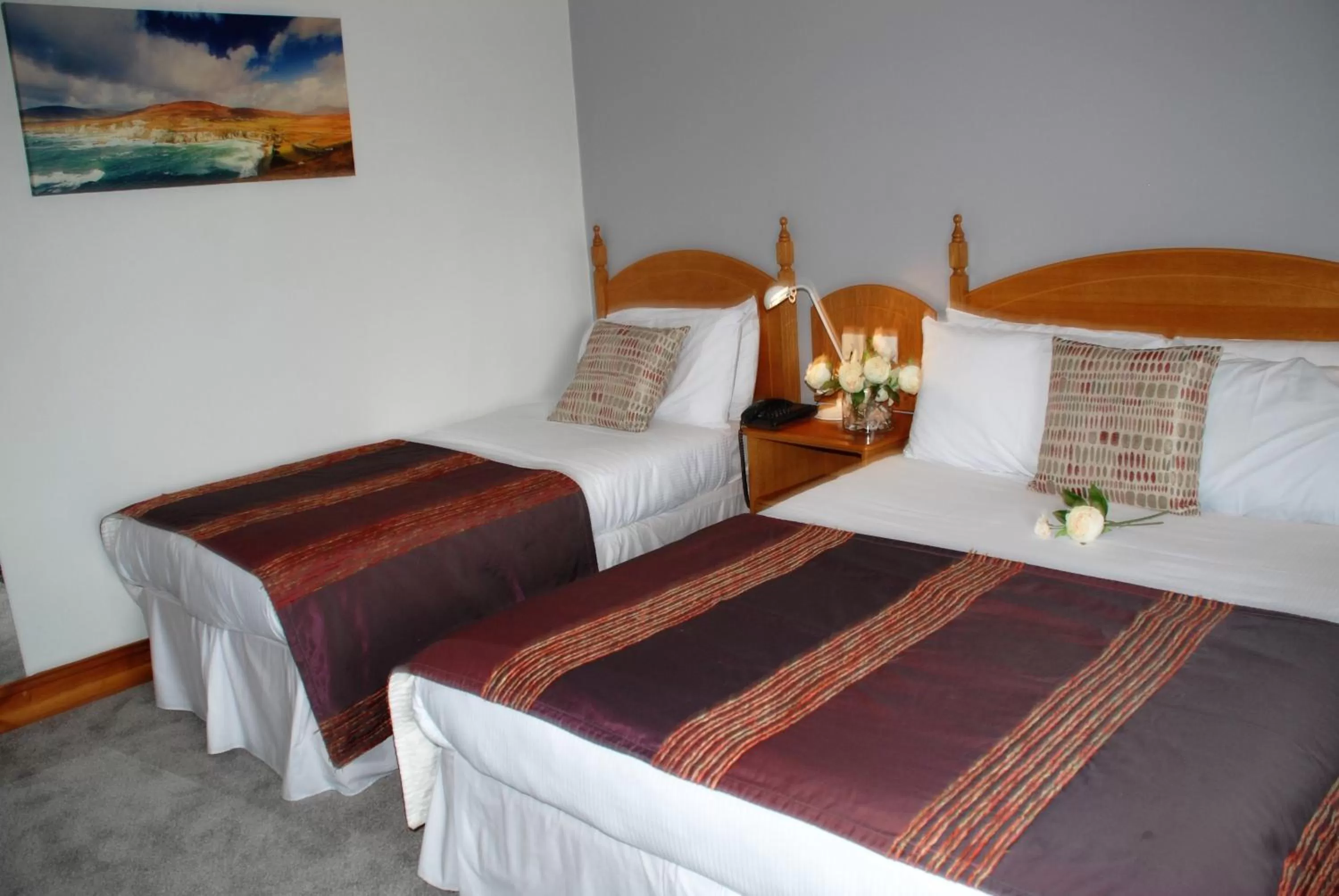 Double or Twin Room with Bath in Ferryport House B&B