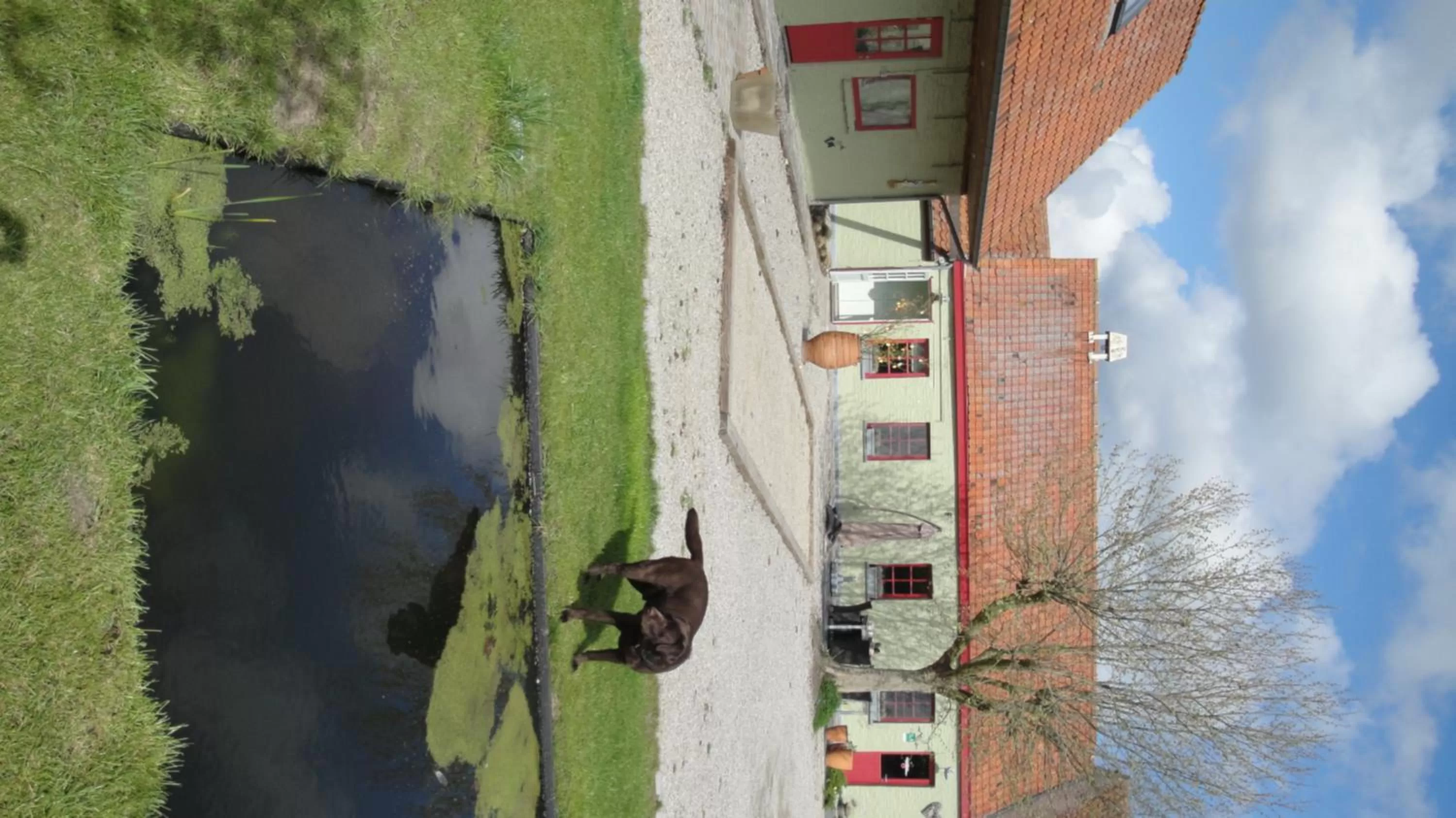 Garden in B&B De Zoete Kers