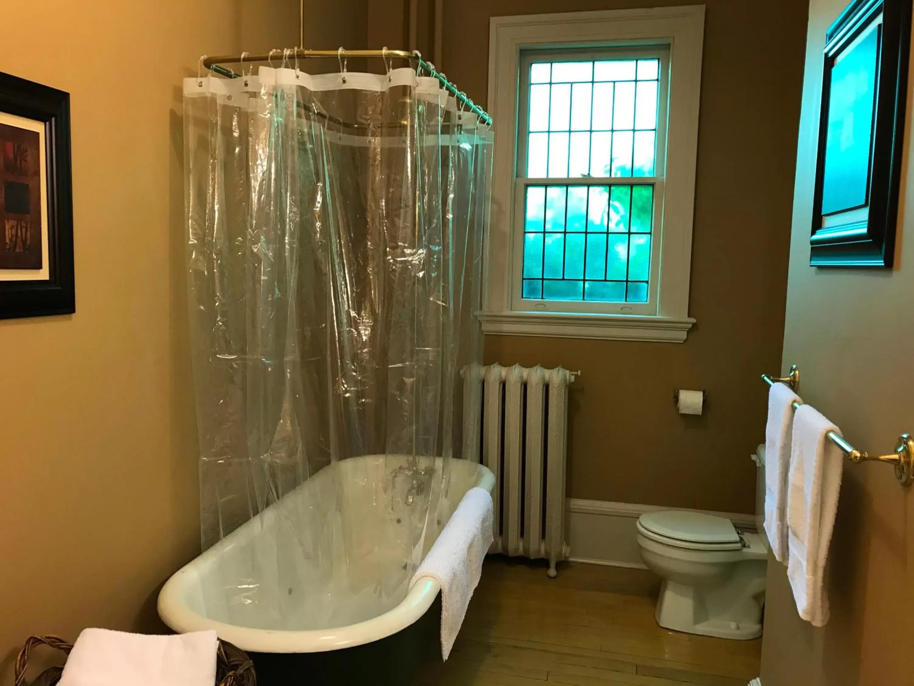 Shower, Bathroom in Stirling House