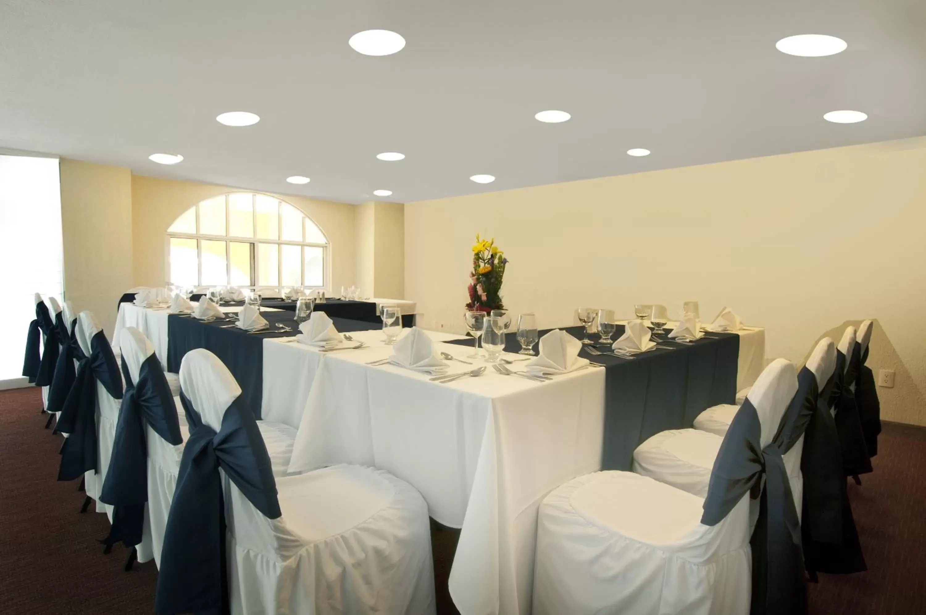 Meeting/conference room, Banquet Facilities in Fiesta Inn Toluca Centro
