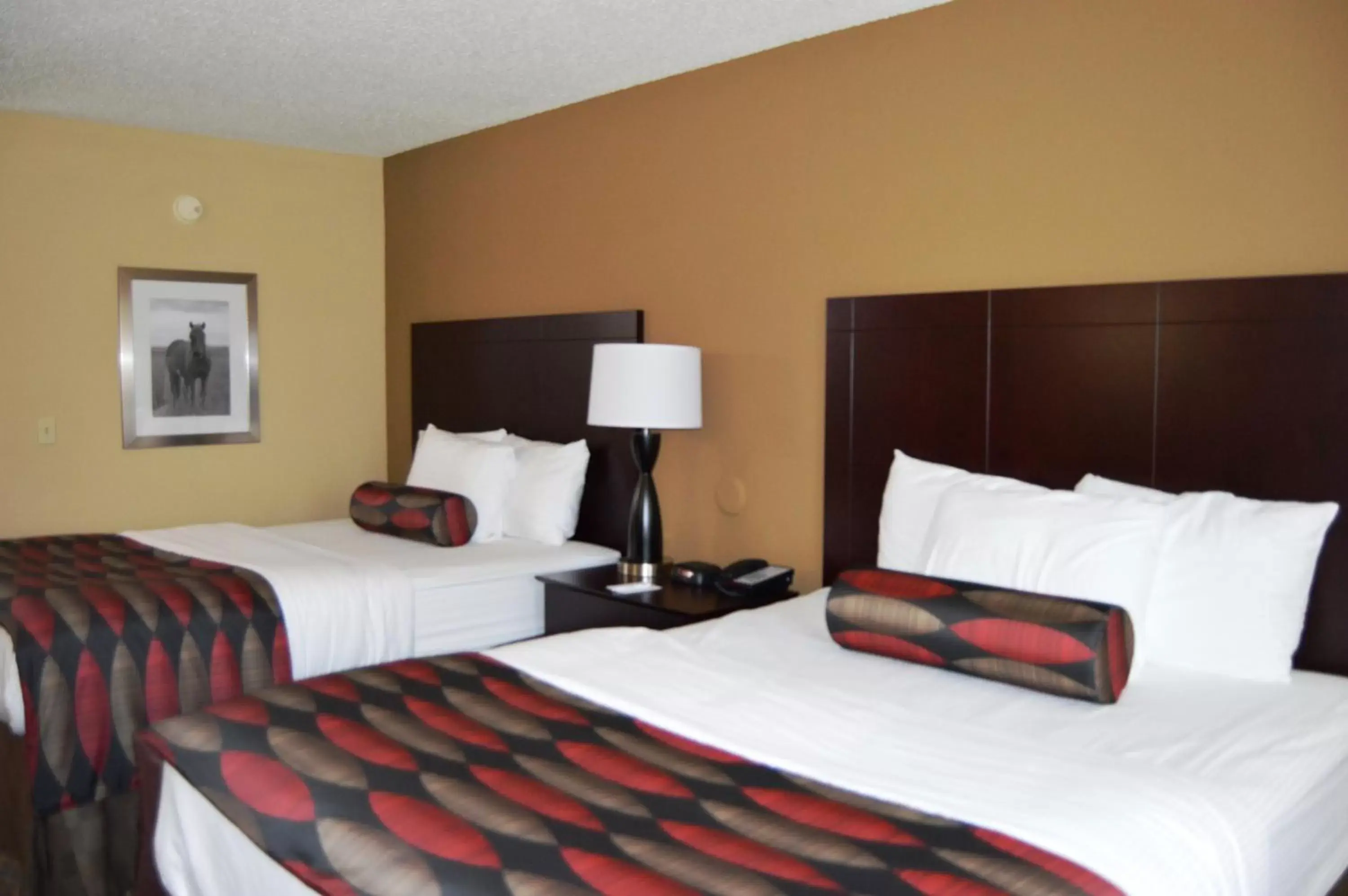 Photo of the whole room, Bed in Boarders Inn and Suites by Cobblestone Hotels - Ardmore