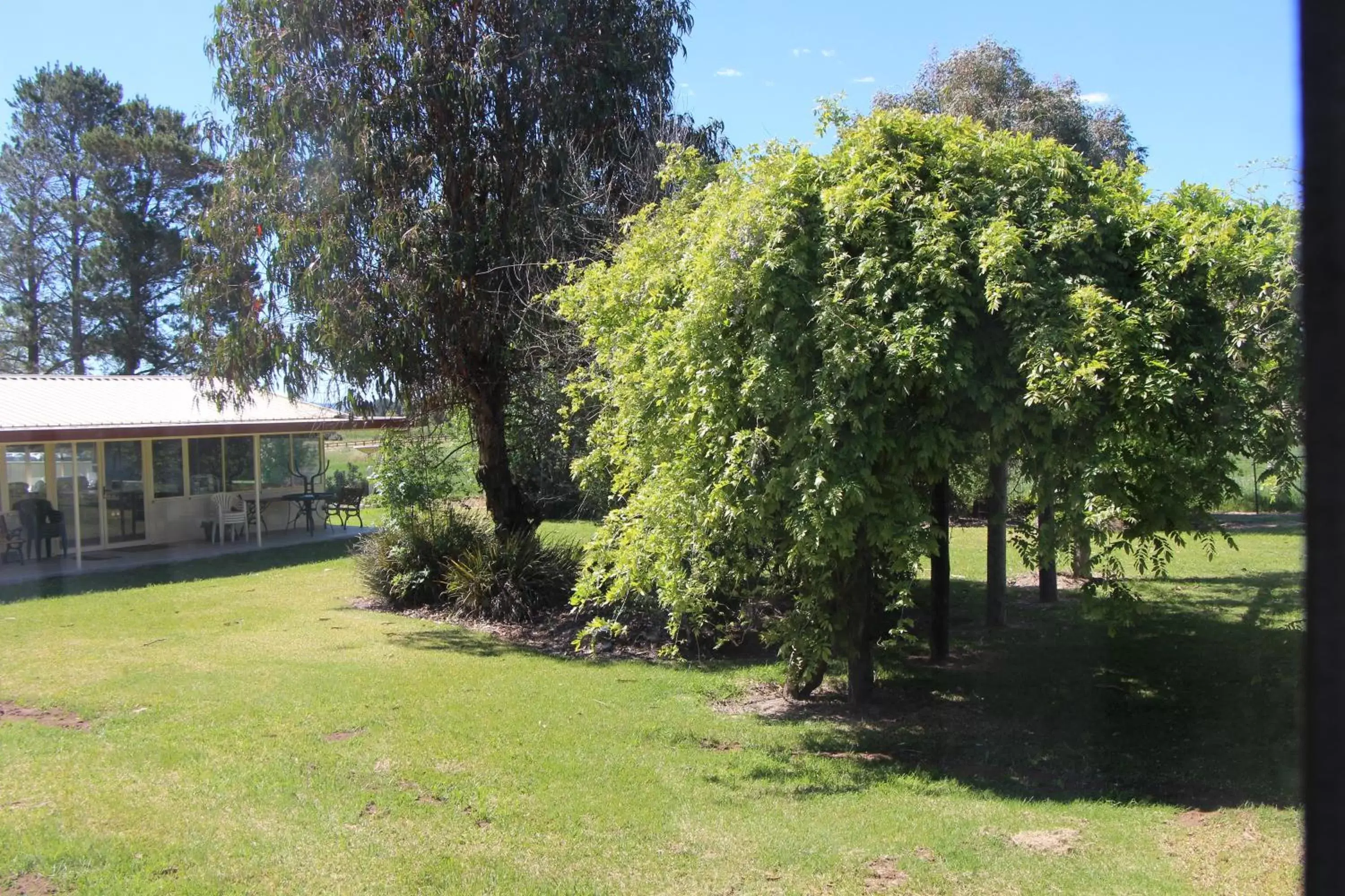 Area and facilities, Garden in Cudgegong Valley Motel